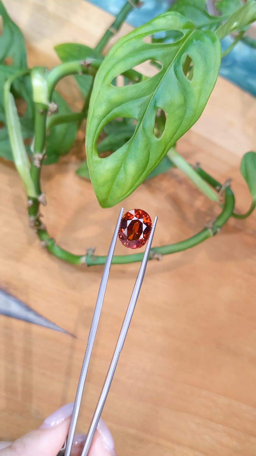 8.04 Ct. Orange Spessartite Garnet from Namibia Size Video