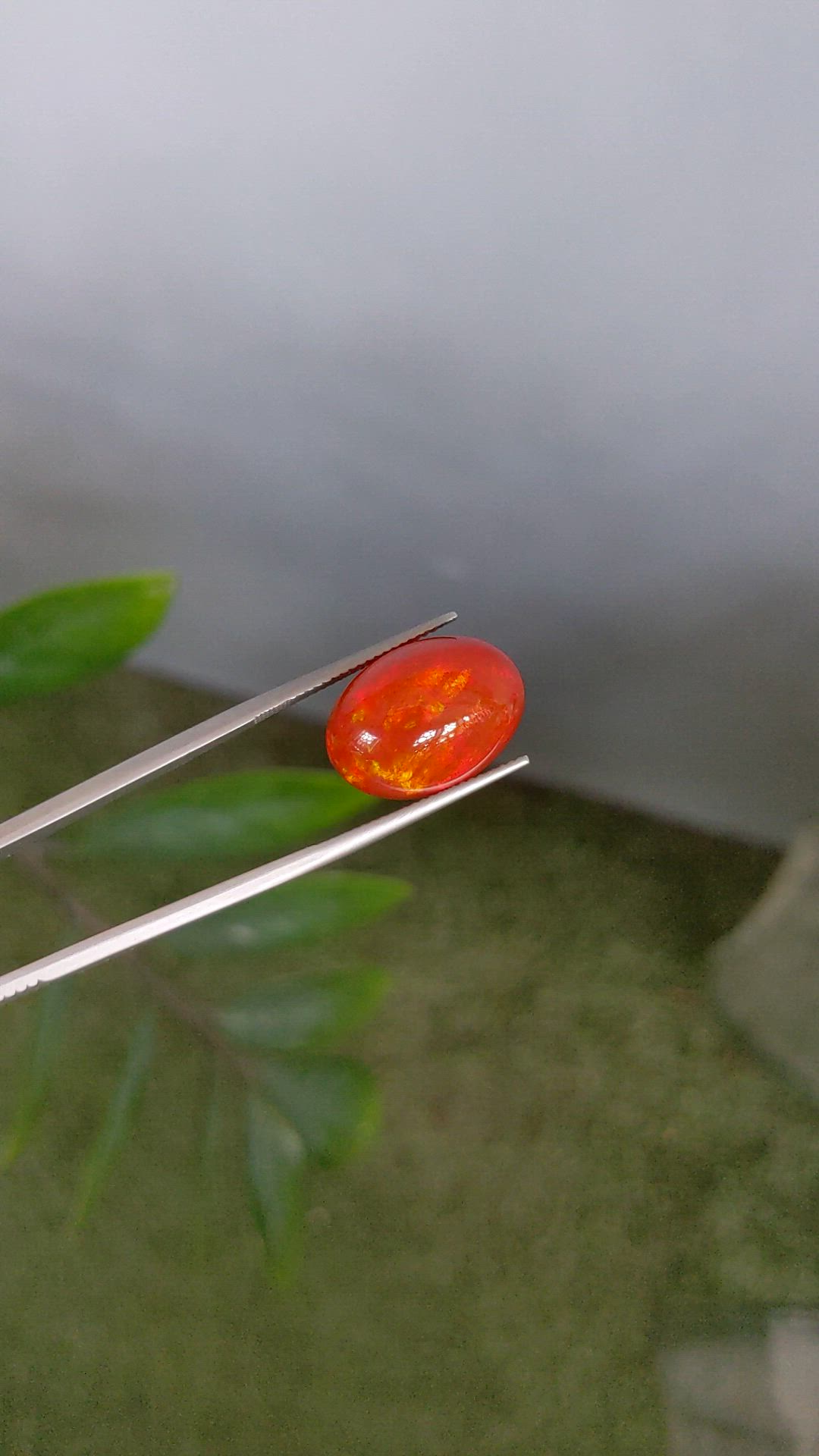 12.70 Ct. Orange Cabochon Fire Opal from Mexico Size Video