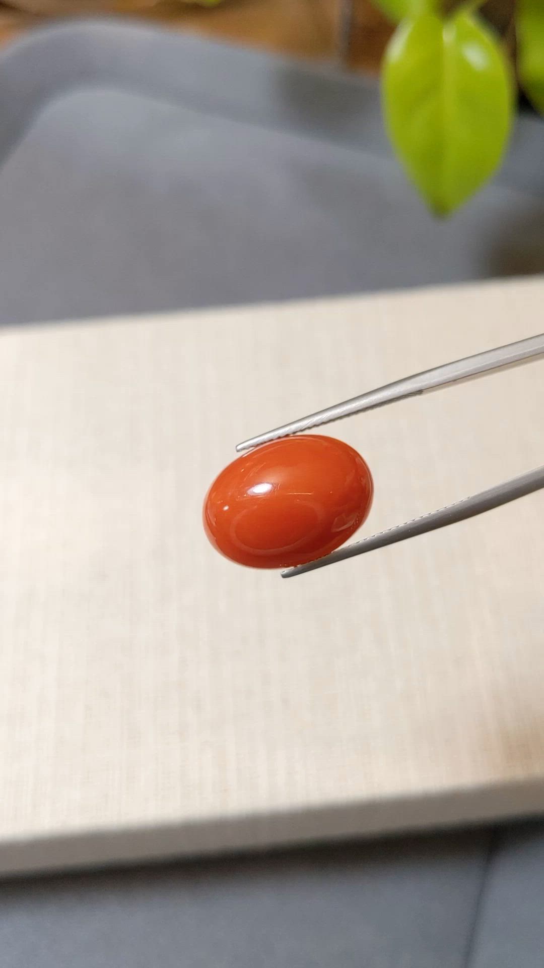 10.66 Ct. Salmon (Orange) Cabochon Coral from Mexico Size Video