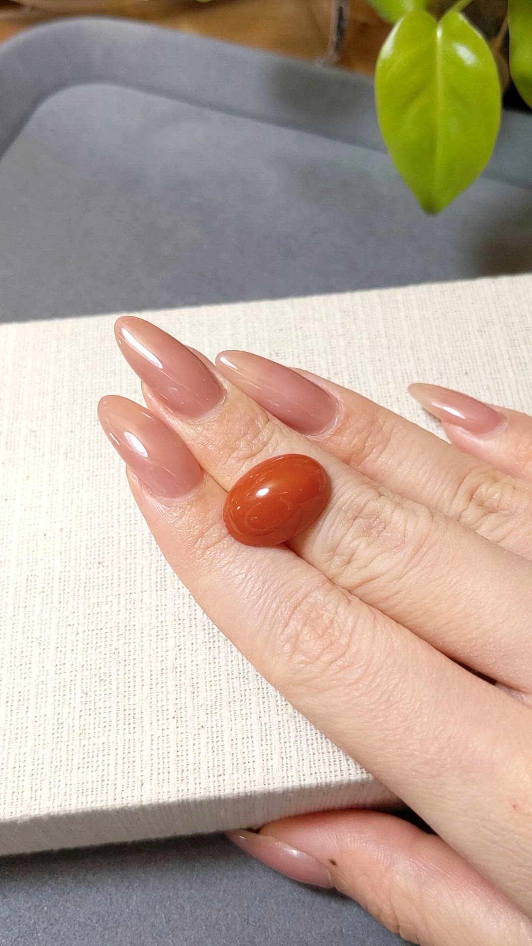 10.66 Ct. Salmon (Orange) Cabochon Coral from Mexico Size Video