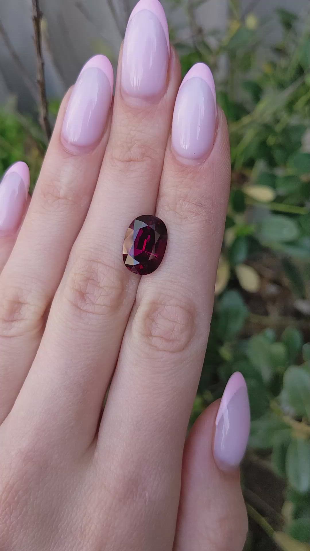 7.13 Ct. Purplish Red Rhodolite Garnet from Ceylon (Sri Lanka) Size Video