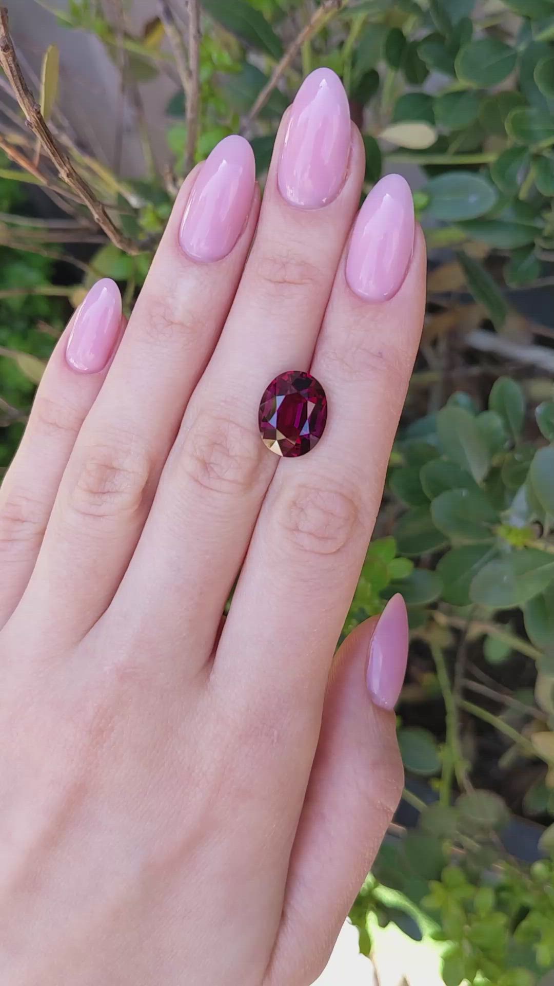 8.89 Ct. Purplish Red Rhodolite Garnet from Ceylon (Sri Lanka) Size Video