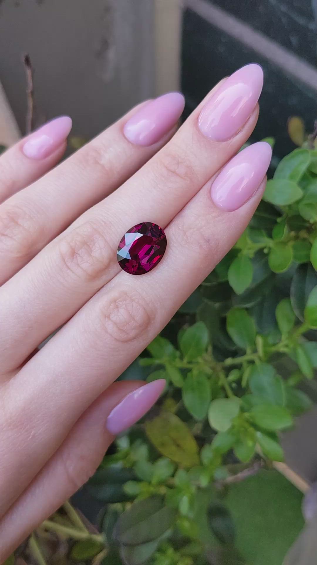 8.89 Ct. Purplish Red Rhodolite Garnet from Ceylon (Sri Lanka) Size Video