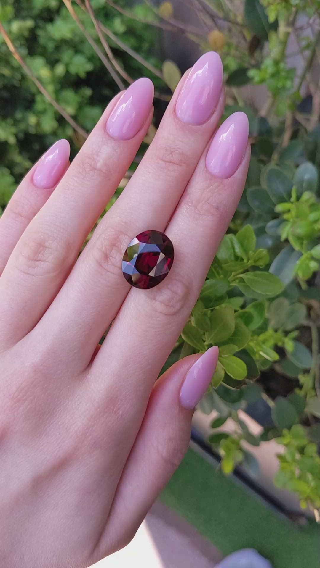 16.41 Ct. Red Rhodolite Garnet from Ceylon (Sri Lanka) Size Video