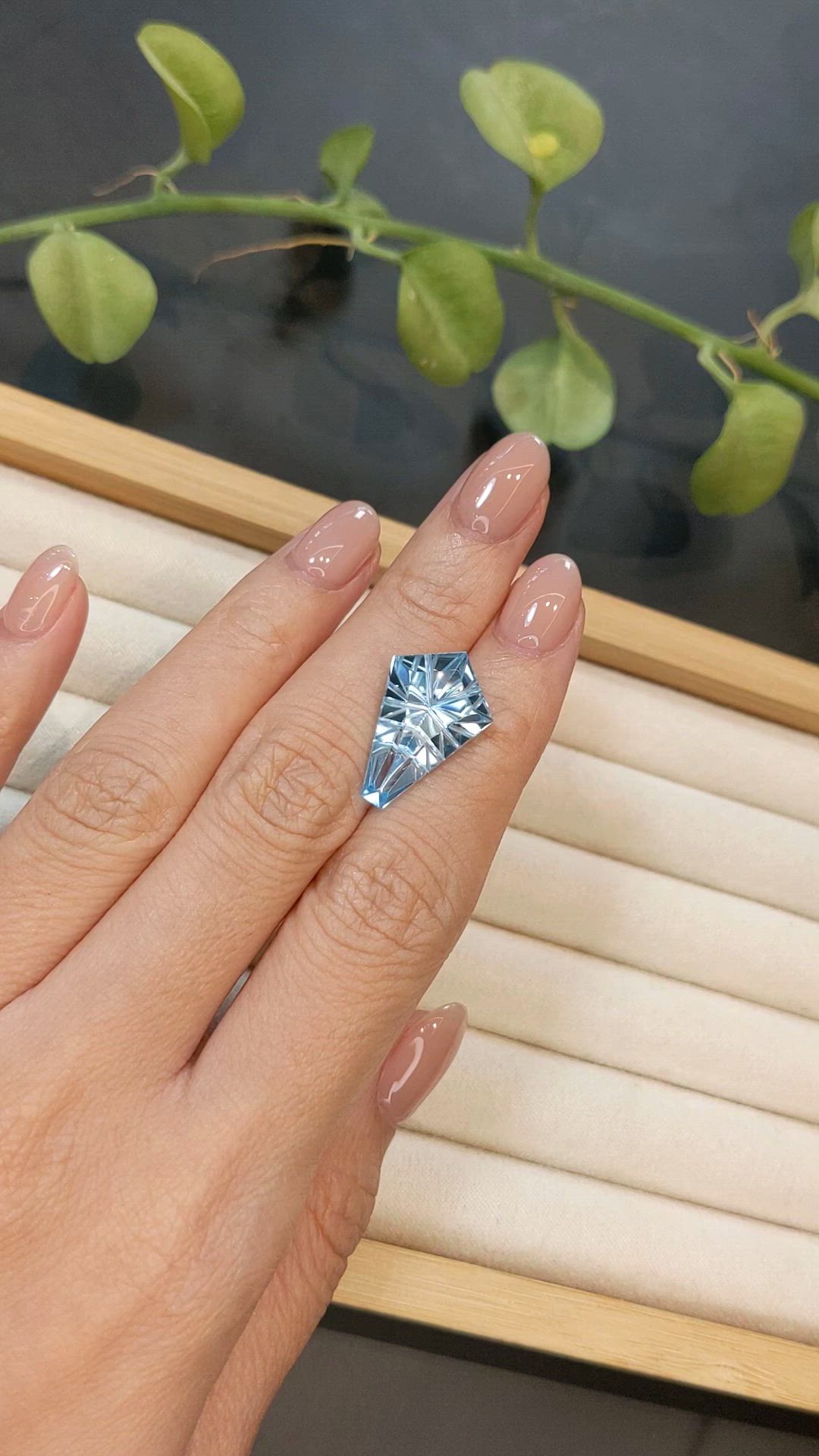11.75 Ct. Blue Topaz from Brazil Size Video