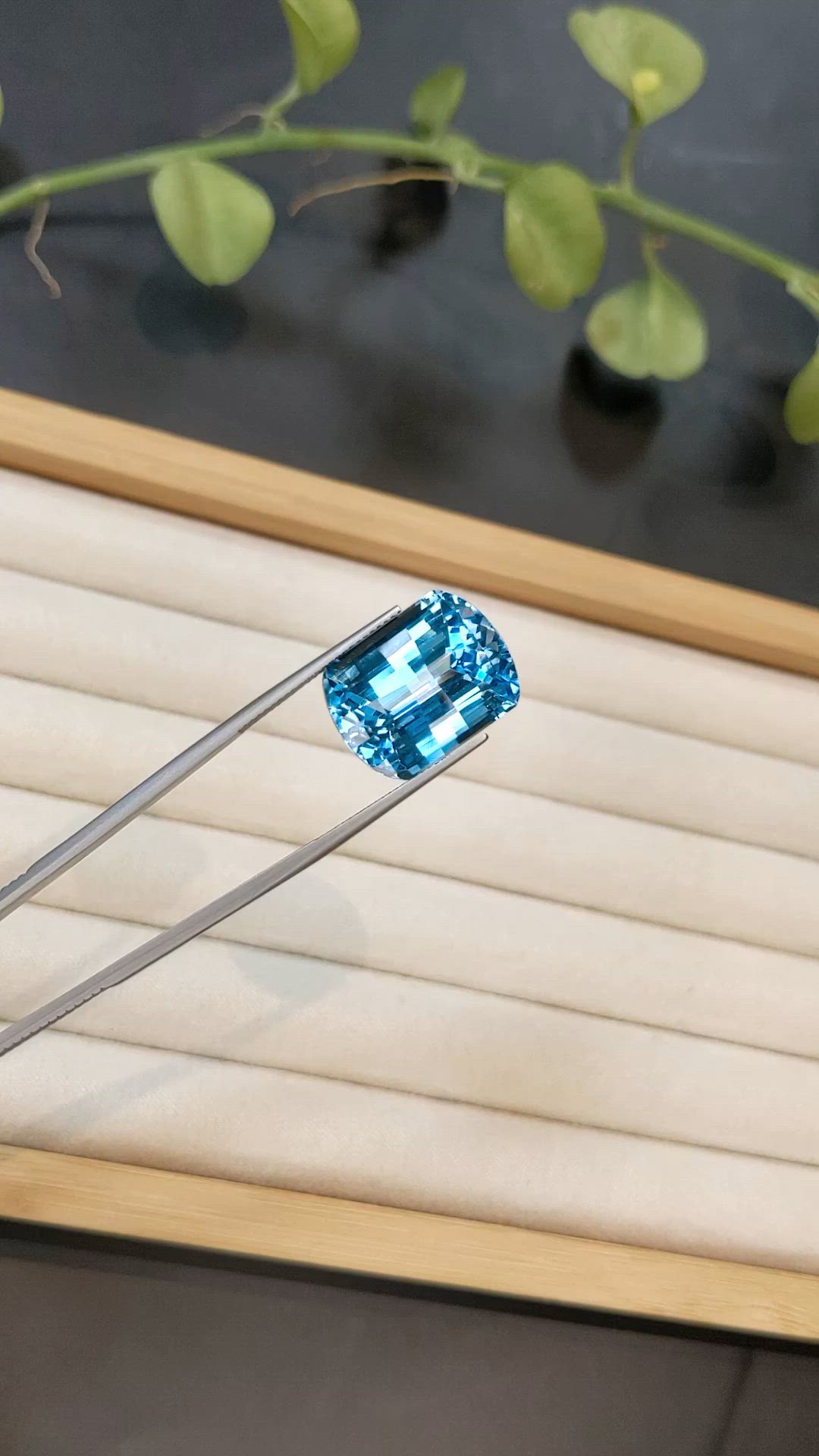 24.74 Ct. Blue Topaz from Brazil Size Video