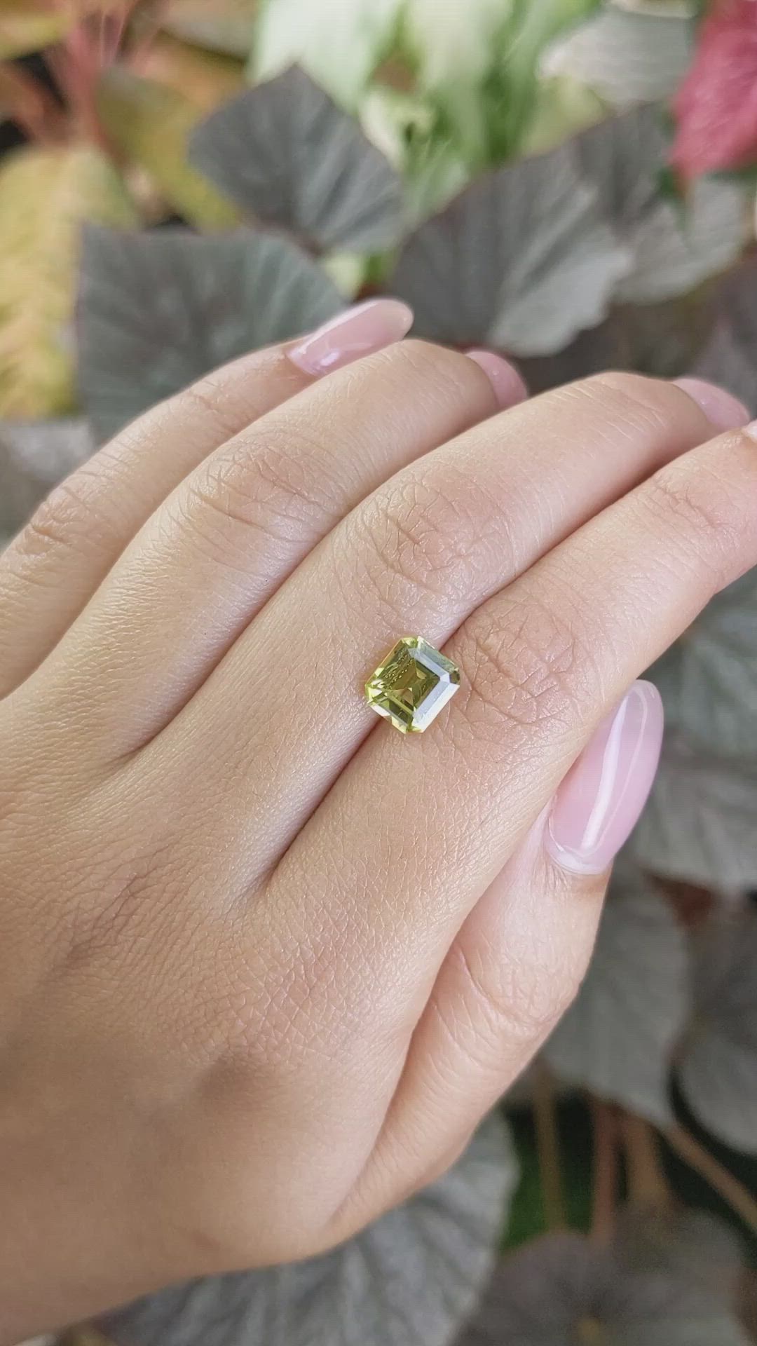 2.49 Ct. Greenish Yellow Chrysoberyl from Ceylon (Sri Lanka) Size Video