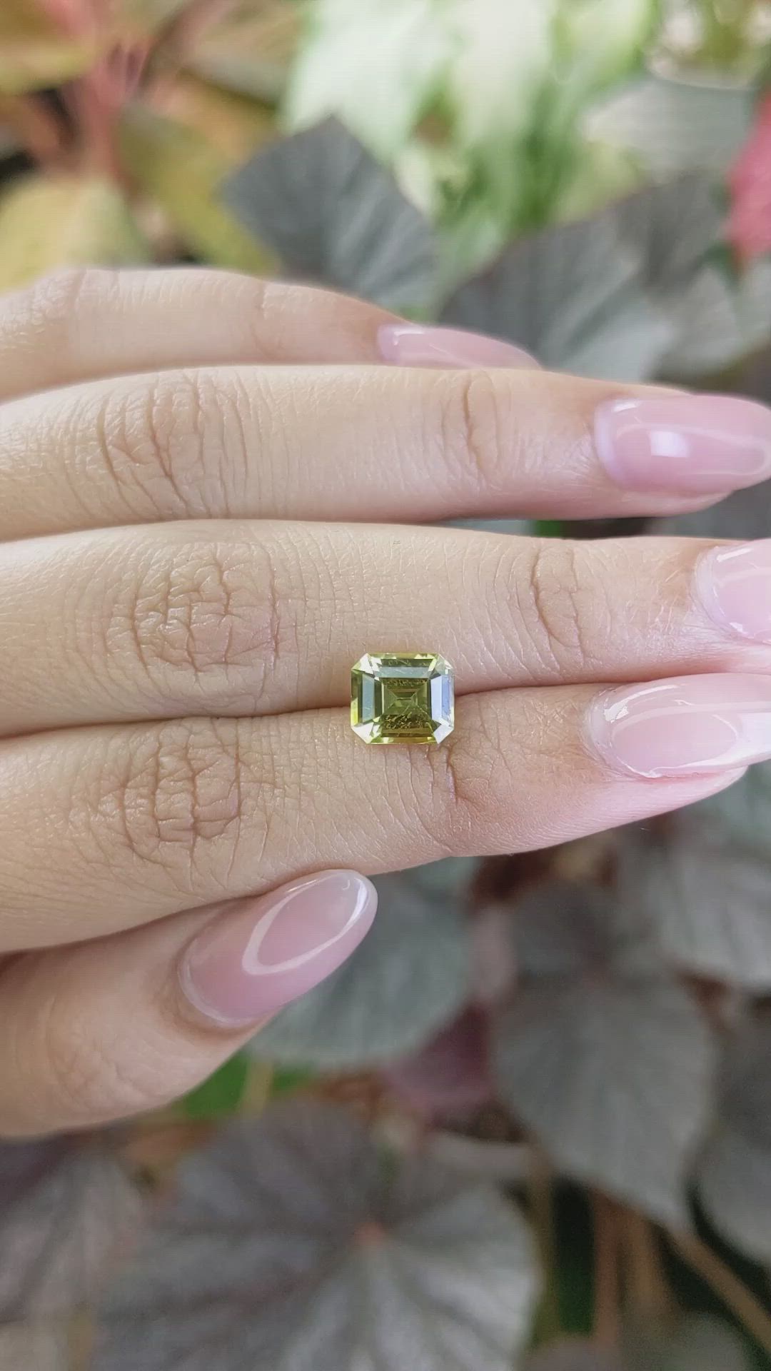 2.49 Ct. Greenish Yellow Chrysoberyl from Ceylon (Sri Lanka) Size Video