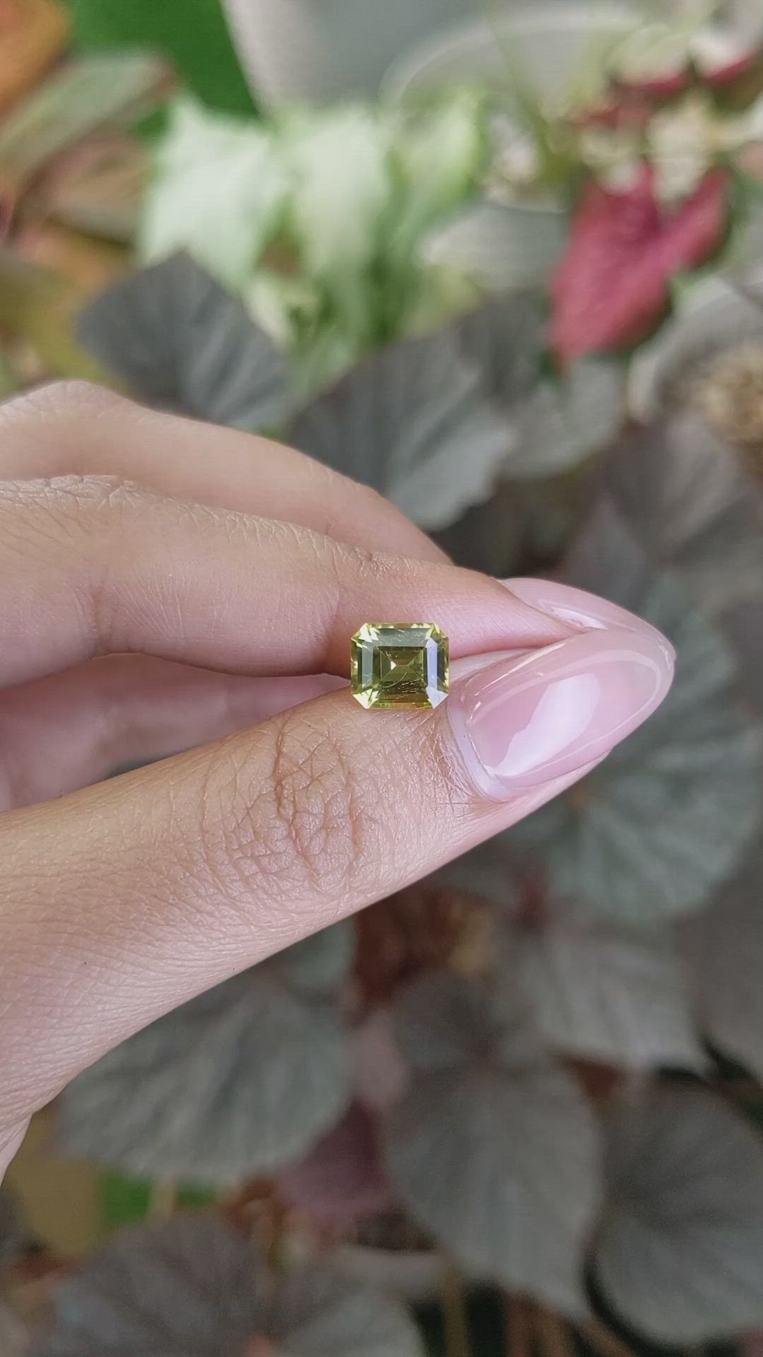 2.49 Ct. Greenish Yellow Chrysoberyl from Ceylon (Sri Lanka) Size Video