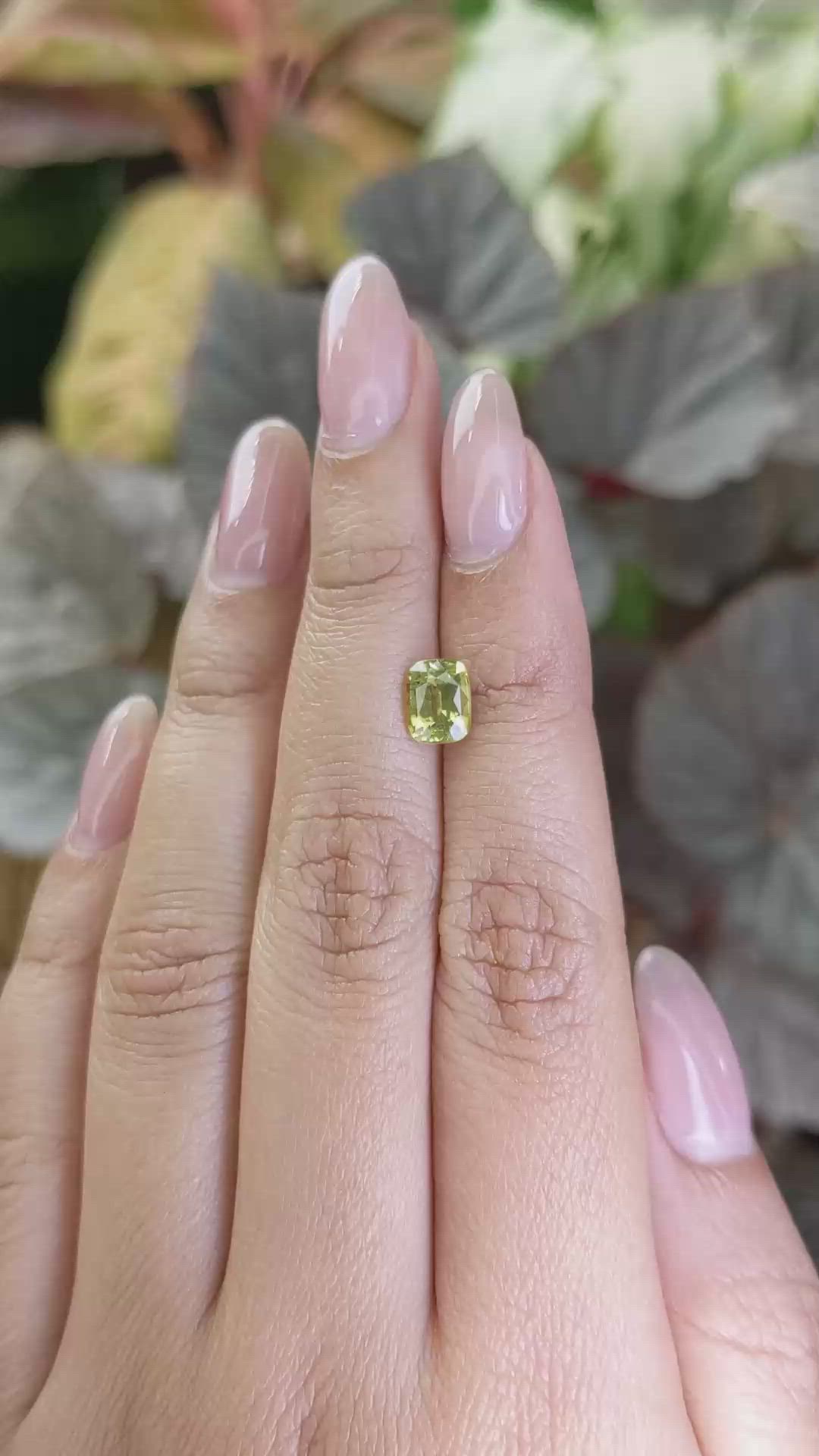 1.54 Ct. Yellowish Green Chrysoberyl from Ceylon (Sri Lanka) Size Video