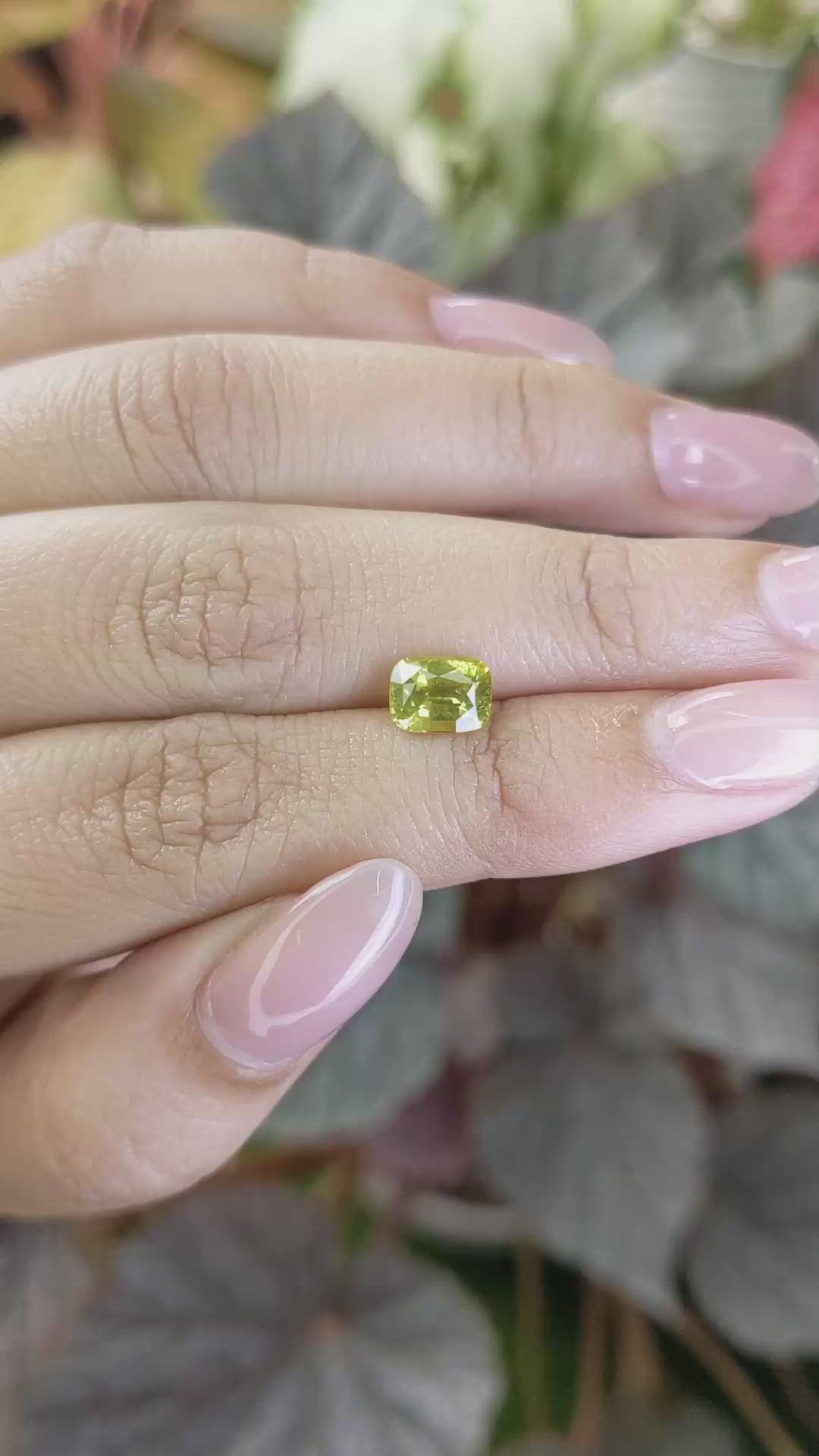 1.54 Ct. Yellowish Green Chrysoberyl from Ceylon (Sri Lanka) Size Video