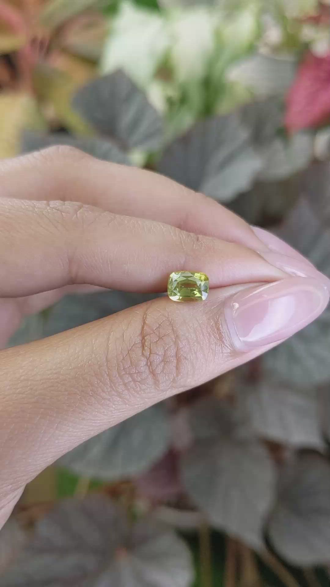 1.54 Ct. Yellowish Green Chrysoberyl from Ceylon (Sri Lanka) Size Video