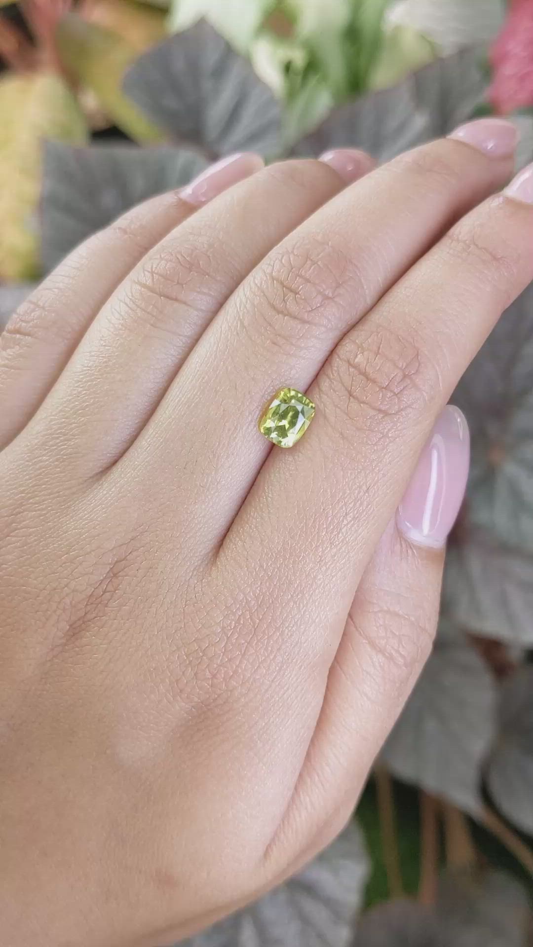 1.54 Ct. Yellowish Green Chrysoberyl from Ceylon (Sri Lanka) Size Video