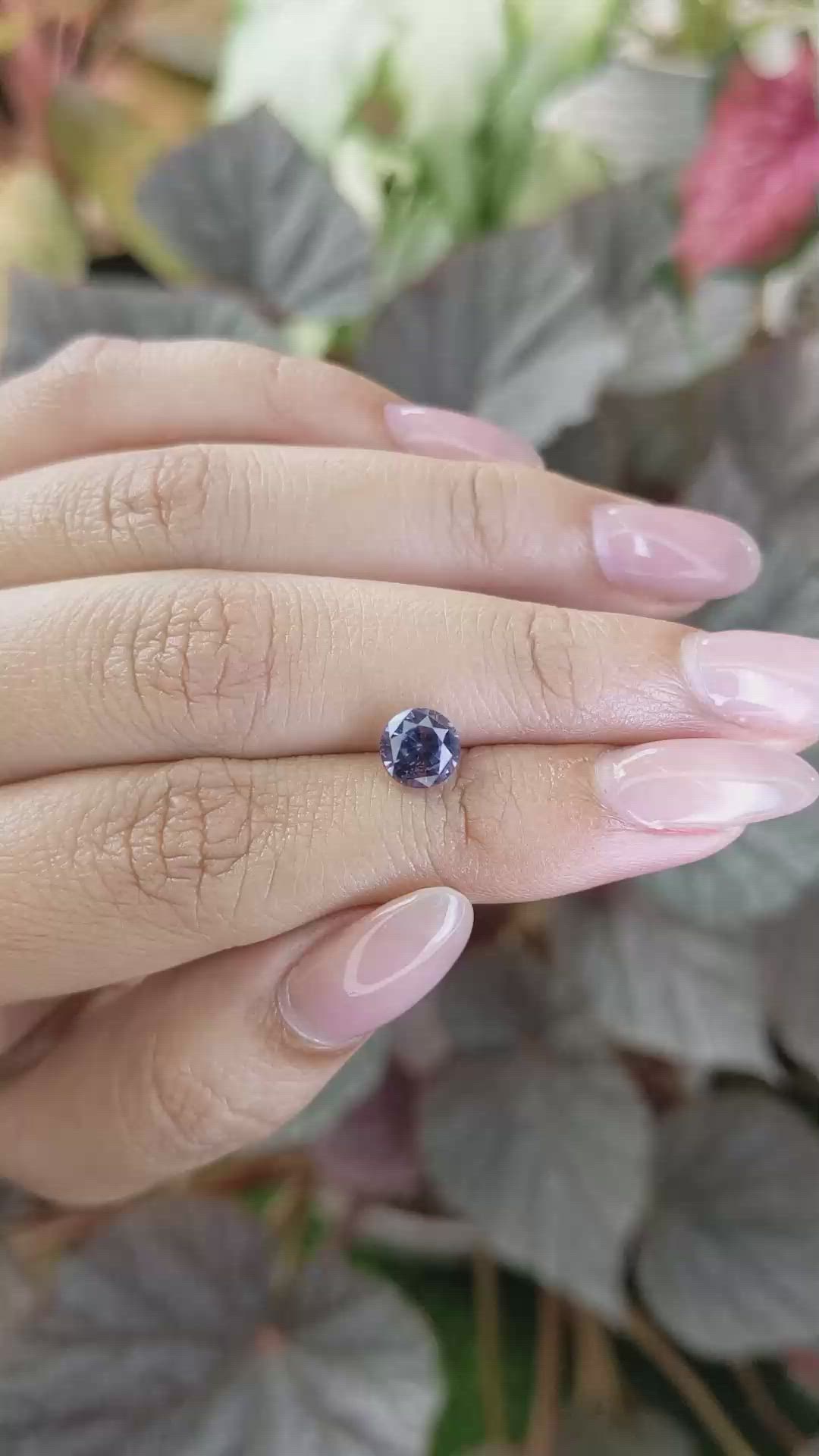 1.68 Ct. Blue Spinel from Ceylon (Sri Lanka) Size Video