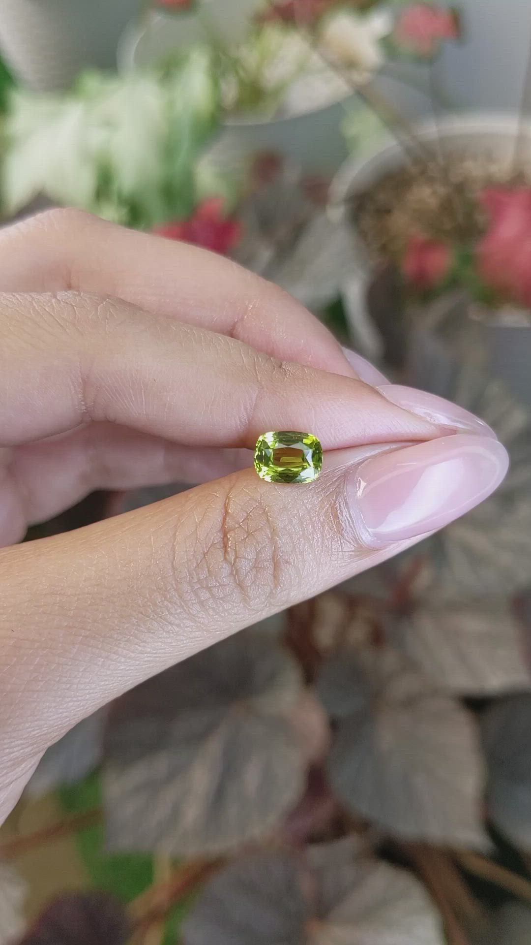 1.81 Ct. Yellowish Green Chrysoberyl from Ceylon (Sri Lanka) Size Video