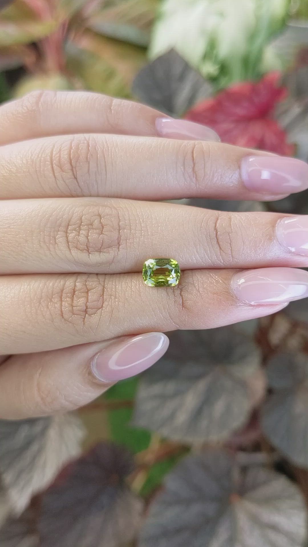 1.81 Ct. Yellowish Green Chrysoberyl from Ceylon (Sri Lanka) Size Video