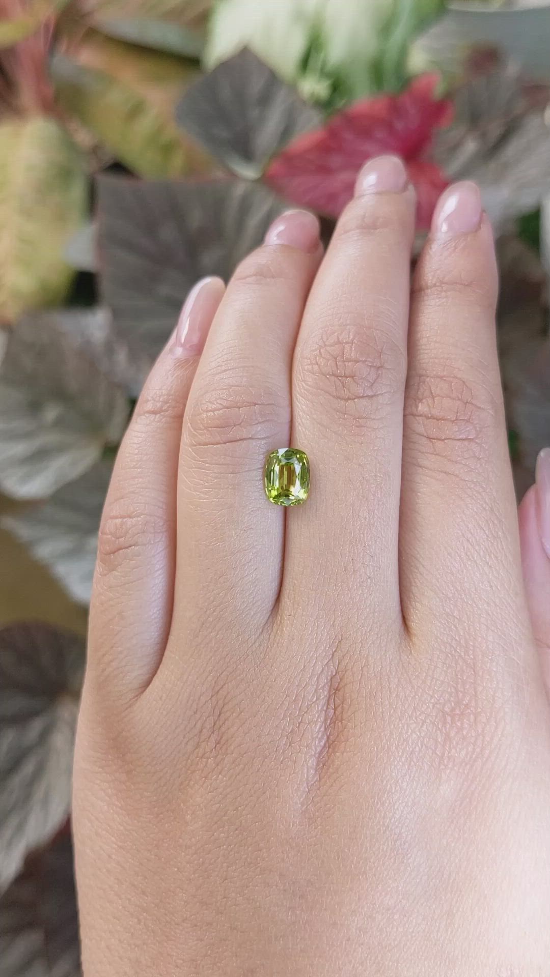 1.81 Ct. Yellowish Green Chrysoberyl from Ceylon (Sri Lanka) Size Video