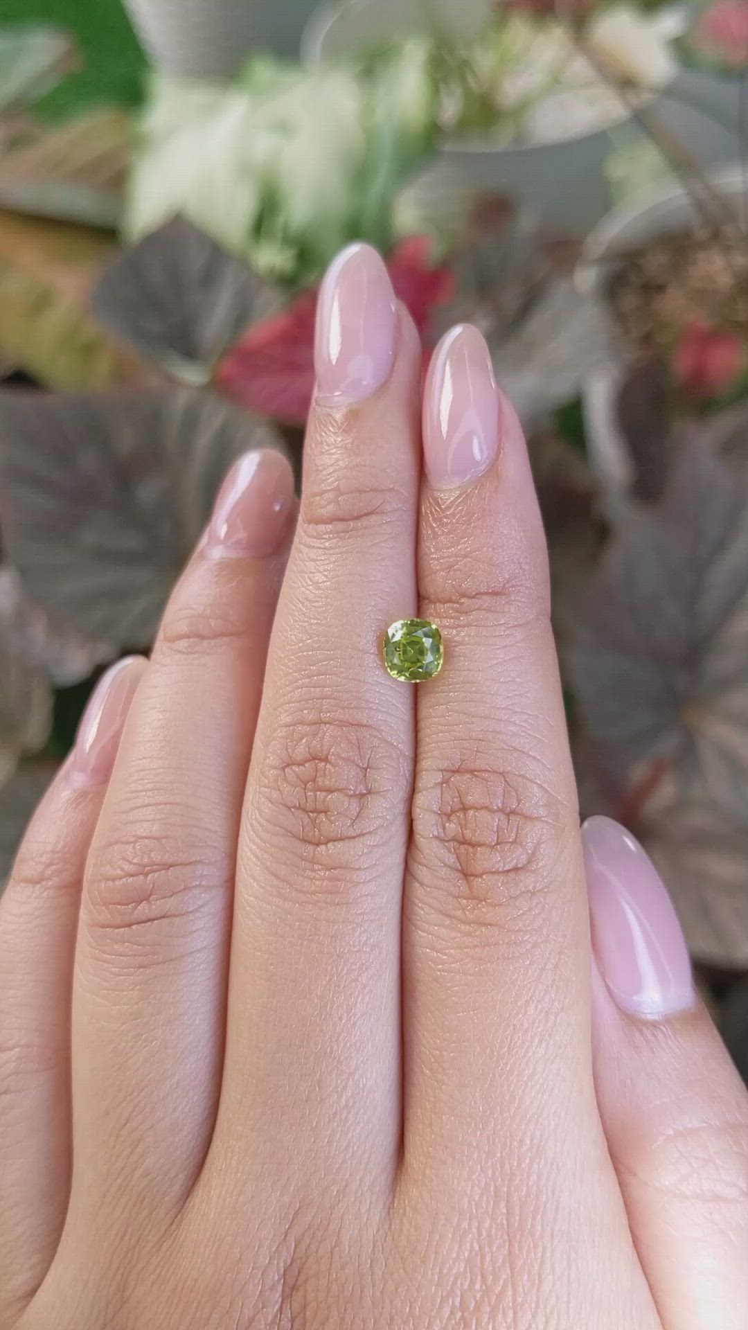 1.25 Ct. Yellowish Green Chrysoberyl from Ceylon (Sri Lanka) Size Video