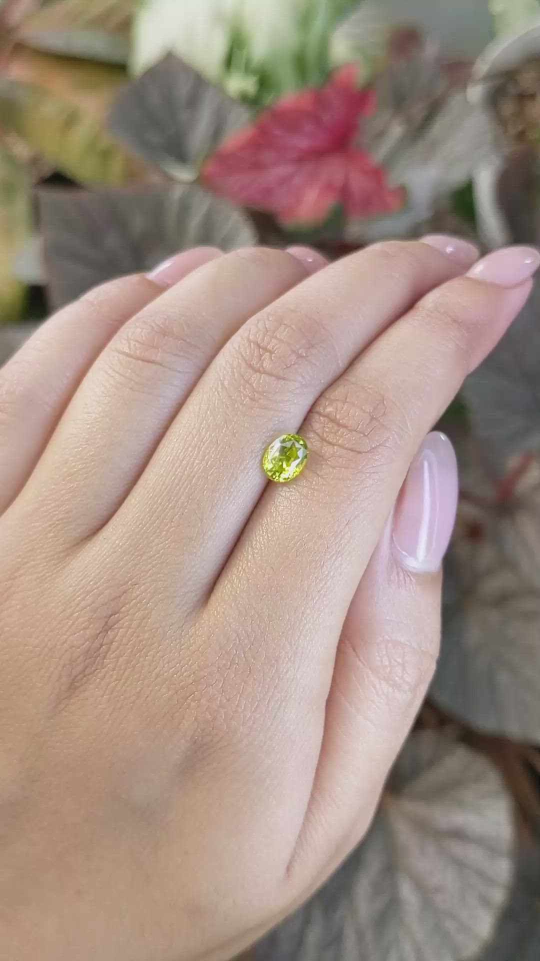 1.33 Ct. Yellowish Green Chrysoberyl from Ceylon (Sri Lanka) Size Video