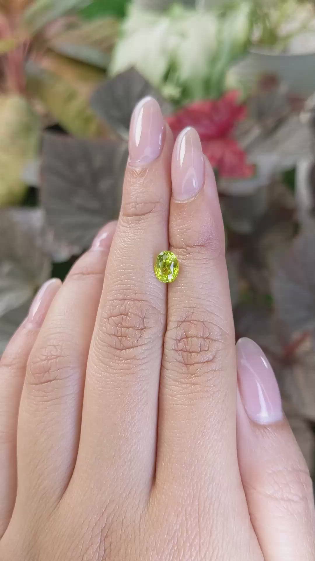 1.33 Ct. Yellowish Green Chrysoberyl from Ceylon (Sri Lanka) Size Video
