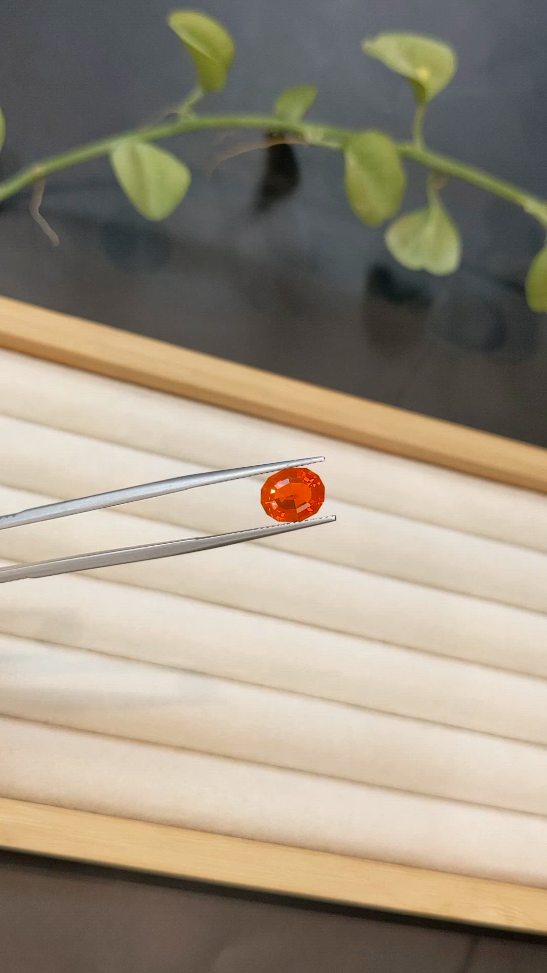 1.79 Ct. Orange Fire Opal from Mexico Size Video