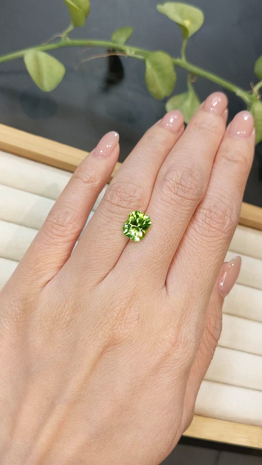 2.71 Ct. Green (Lime Green) Peridot from Pakistan Size Video