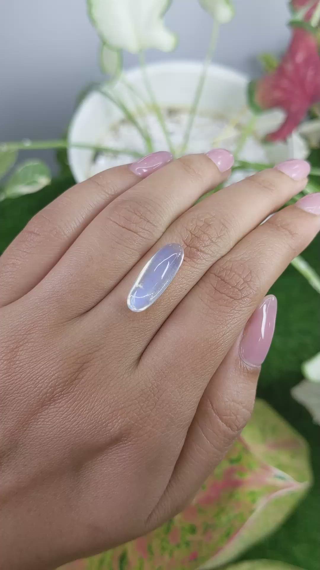 6.67 Ct. Blue Flash Cabochon Moonstone from Ceylon (Sri Lanka) Size Video