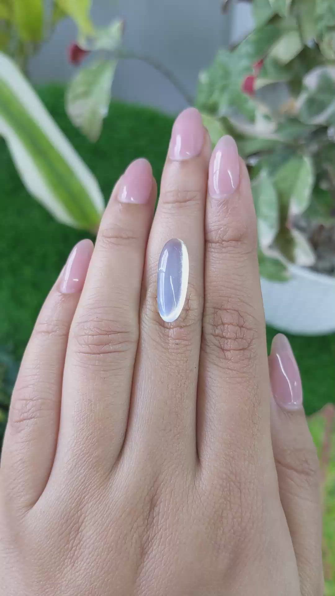 6.67 Ct. Blue Flash Cabochon Moonstone from Ceylon (Sri Lanka) Size Video
