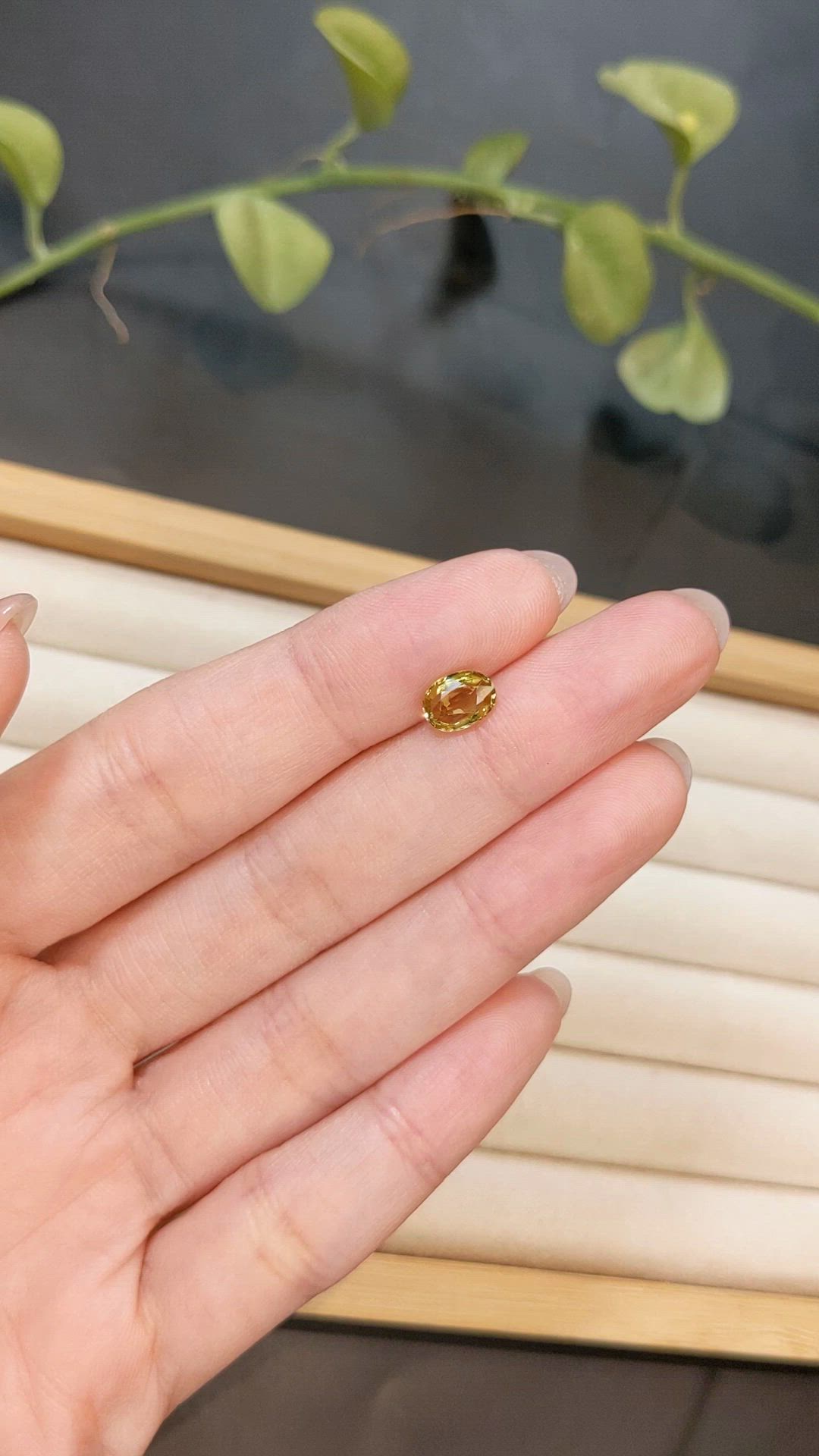 1.19 Ct. Orangish Brown Malaya Garnet from Tanzania Size Video