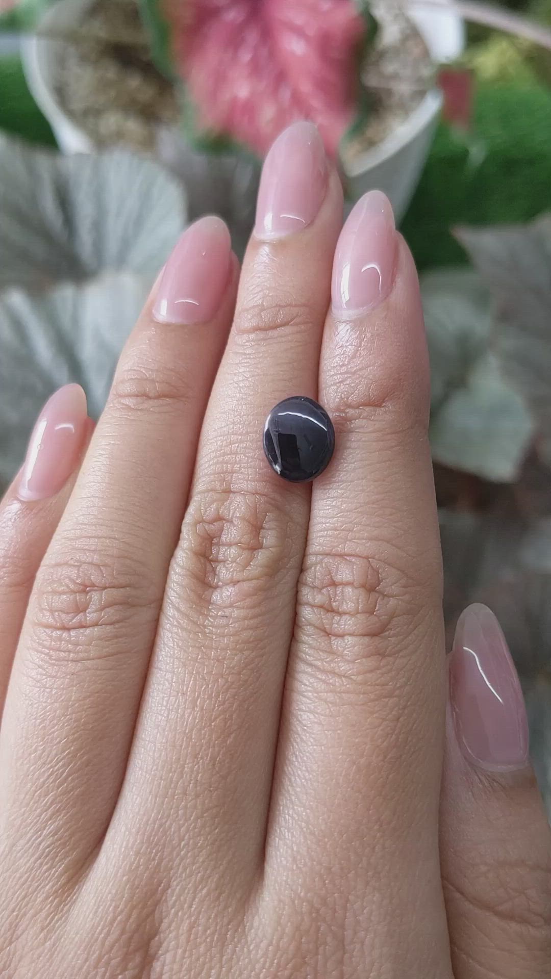 3.76 Ct. Purple Star Spinel from Ceylon (Sri Lanka) Size Video