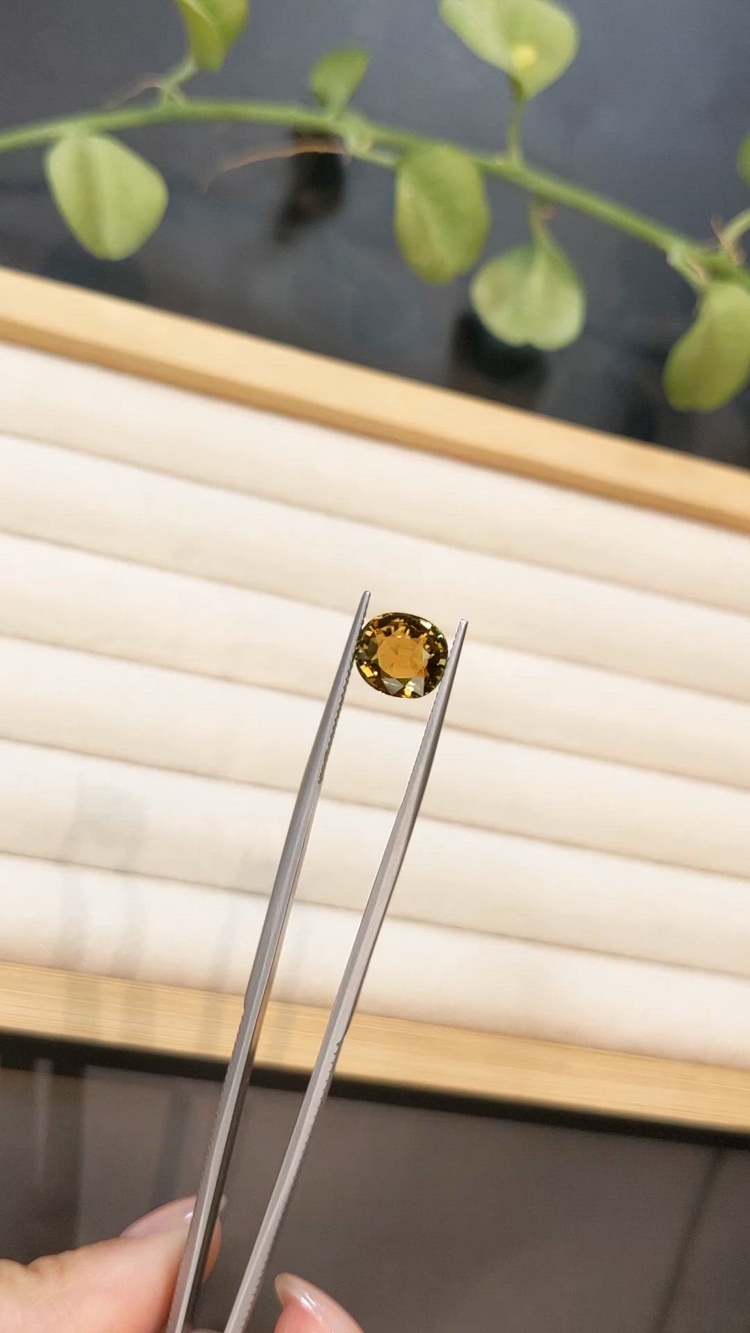 3.36 Ct. Greenish Brown Tourmaline from Brazil Size Video