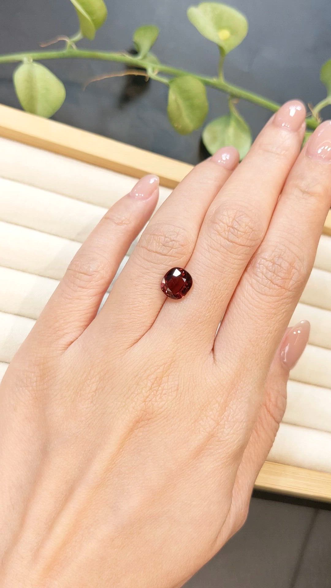 2.35 Ct. Red Rubellite Tourmaline from Brazil Size Video