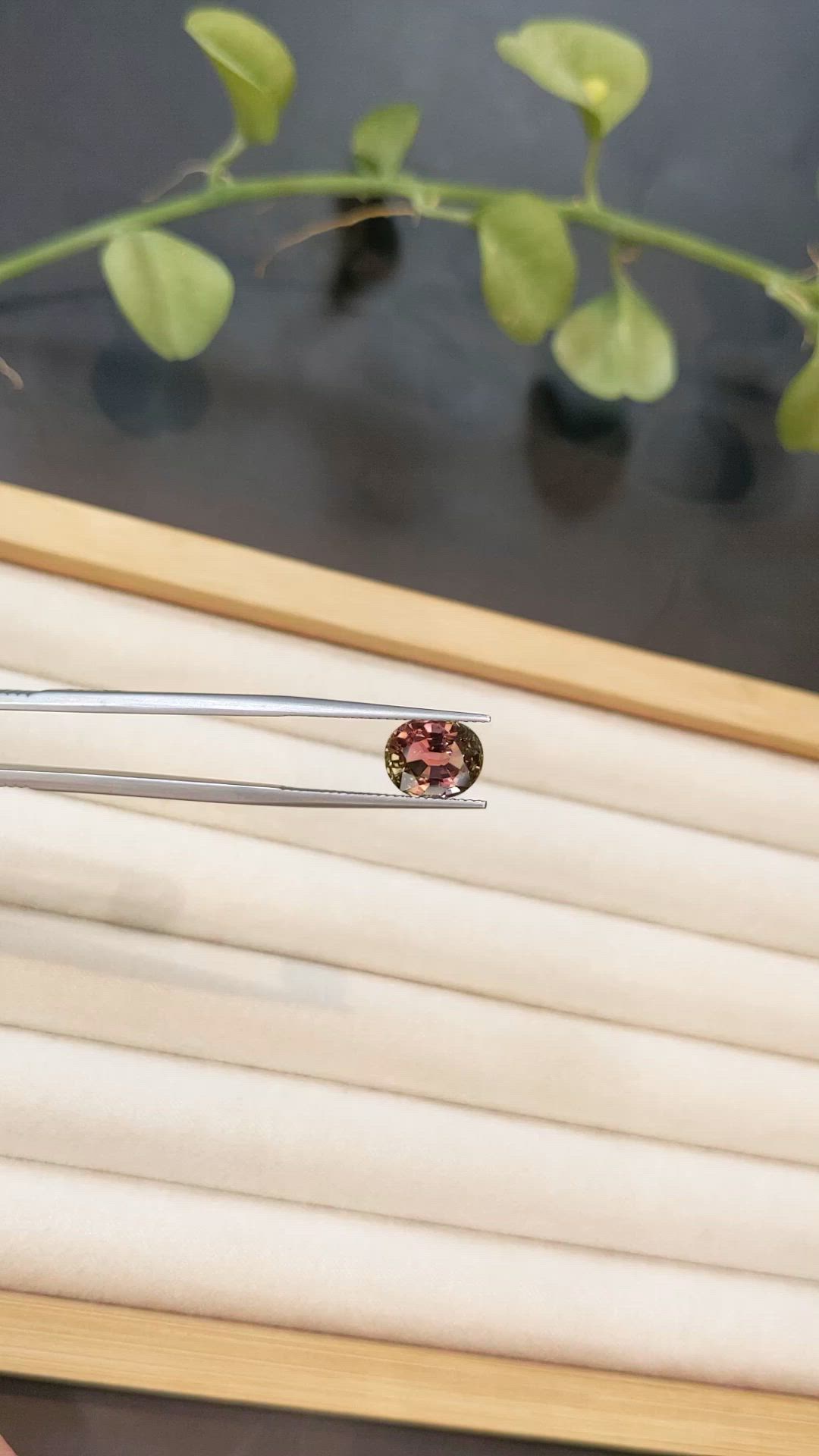 3.22 Ct. Bi Color Tourmaline from Brazil Size Video