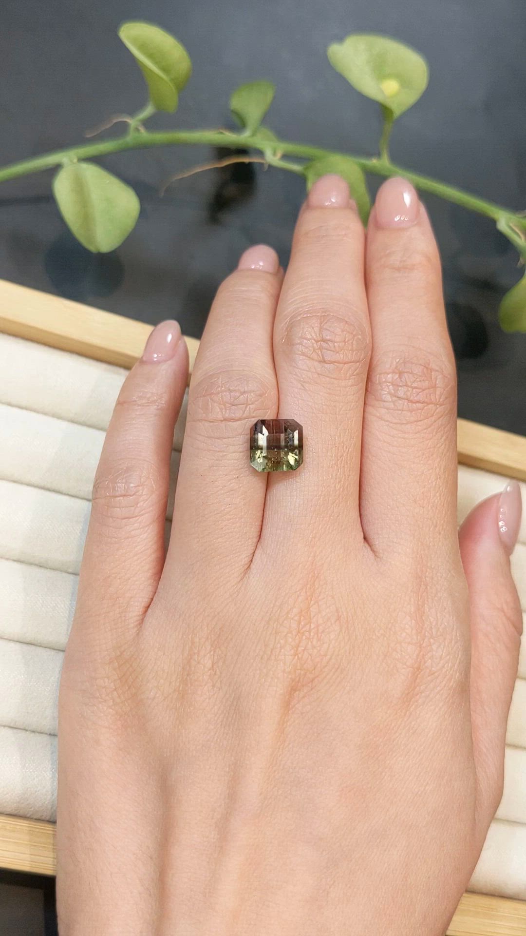 3.85 Ct. Bi Color Tourmaline from Brazil Size Video