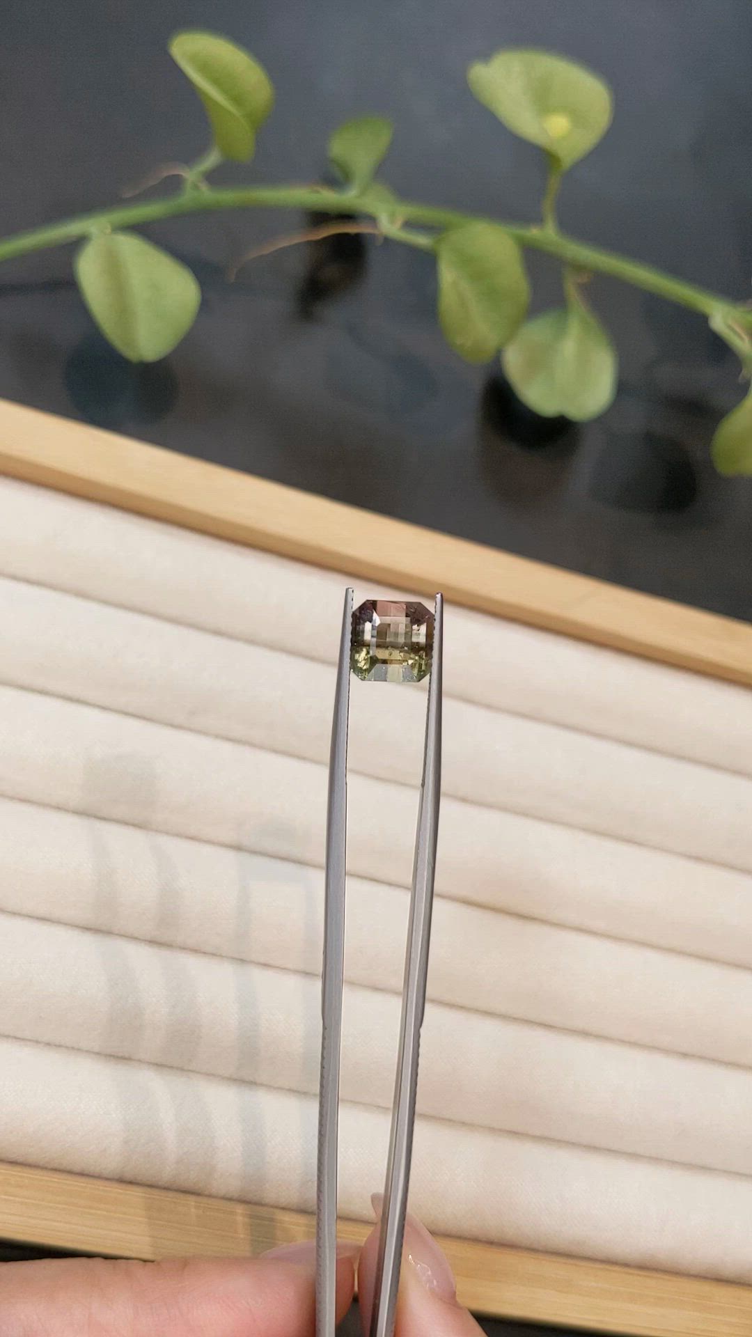 3.85 Ct. Bi Color Tourmaline from Brazil Size Video
