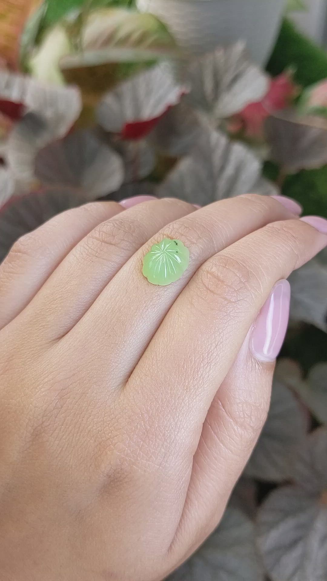4.77 Ct. Yellowish Green Cabochon Jade from Burma (Myanmar) Size Video