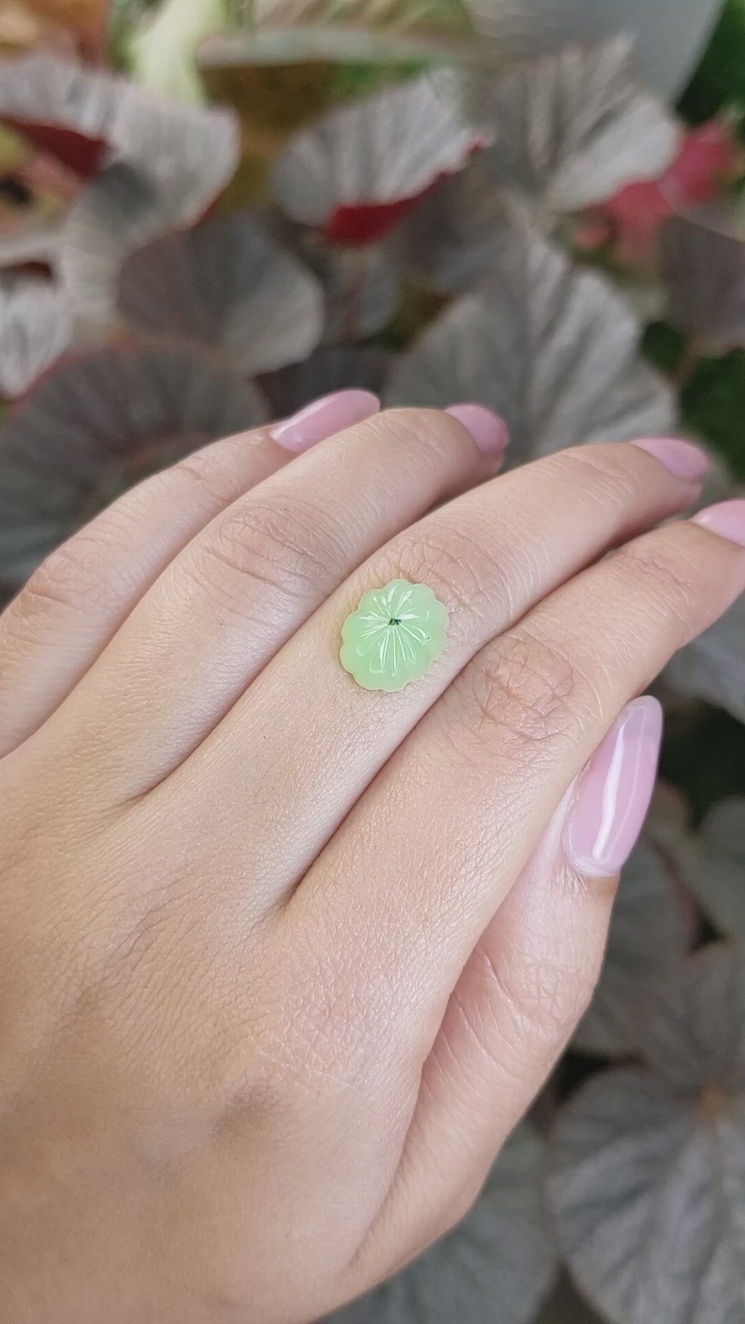 5.15 Ct. Yellowish Green Cabochon Jade from Burma (Myanmar) Size Video