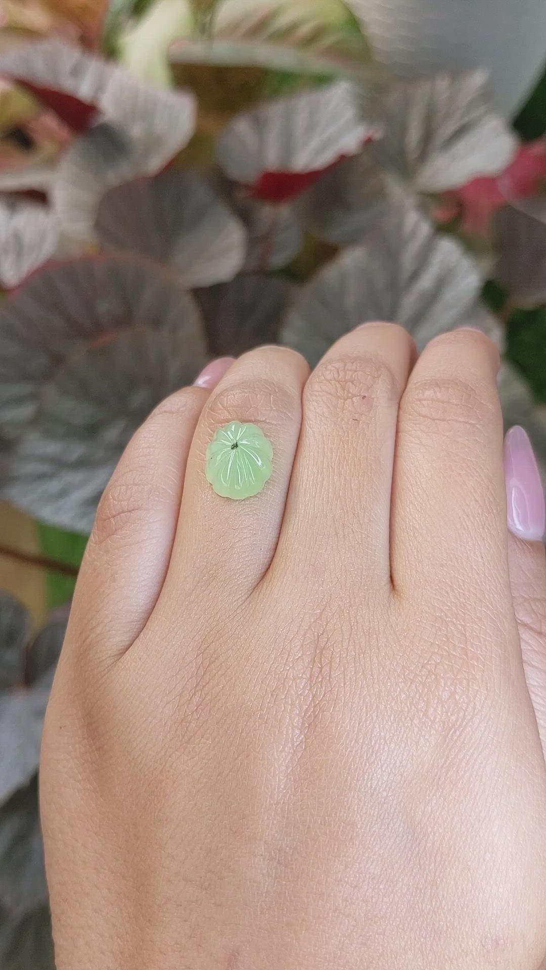 5.15 Ct. Yellowish Green Cabochon Jade from Burma (Myanmar) Size Video