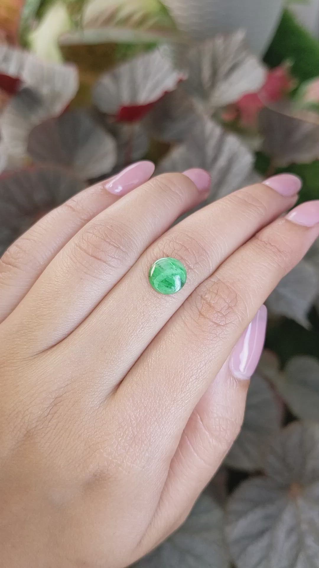 1.13 Ct. Green Cabochon Jade from Burma (Myanmar) Size Video
