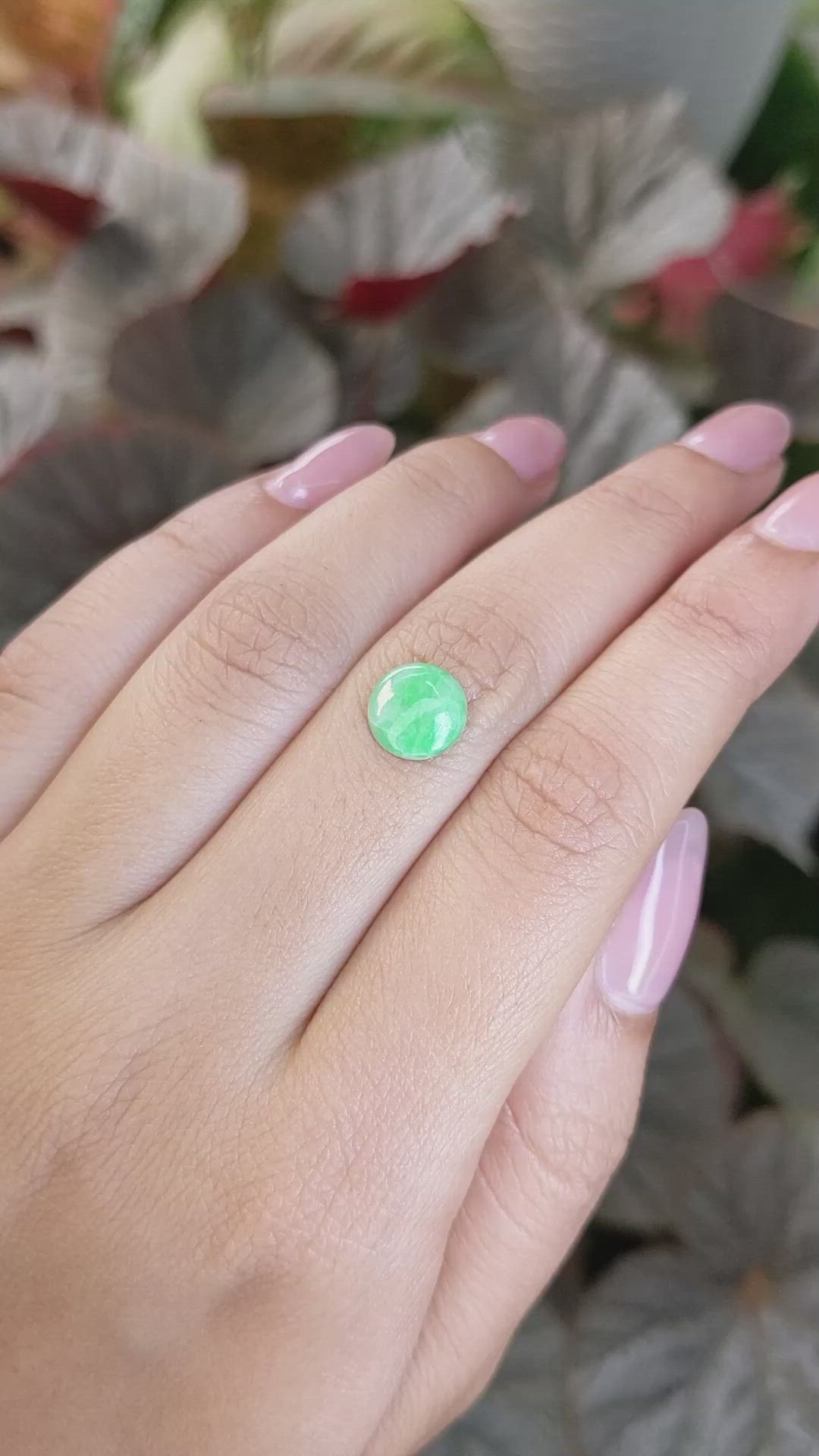 1.65 Ct. Green Cabochon Jade from Burma (Myanmar) Size Video