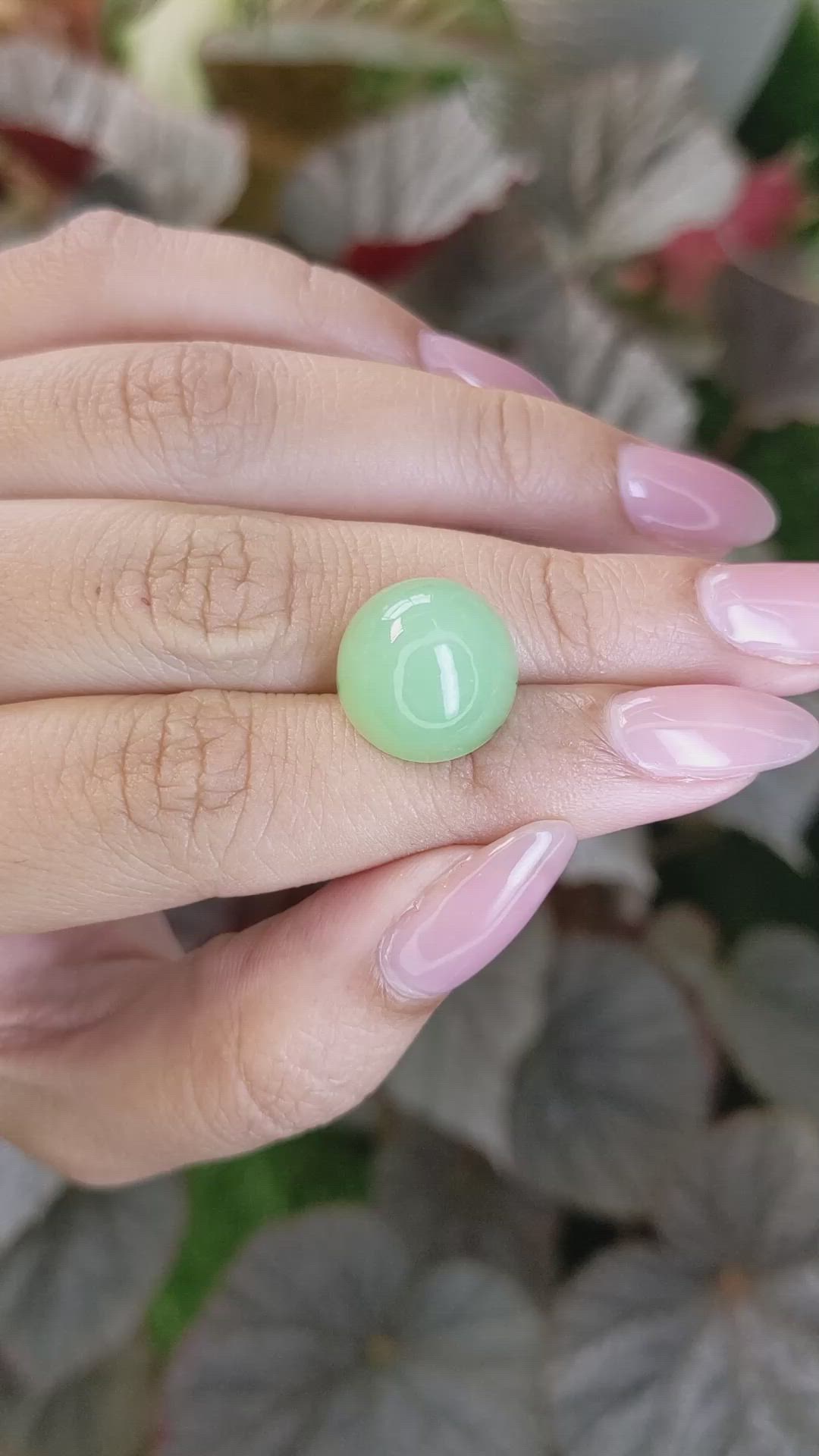 15.20 Ct. Green Cabochon Jade from Burma (Myanmar) Size Video