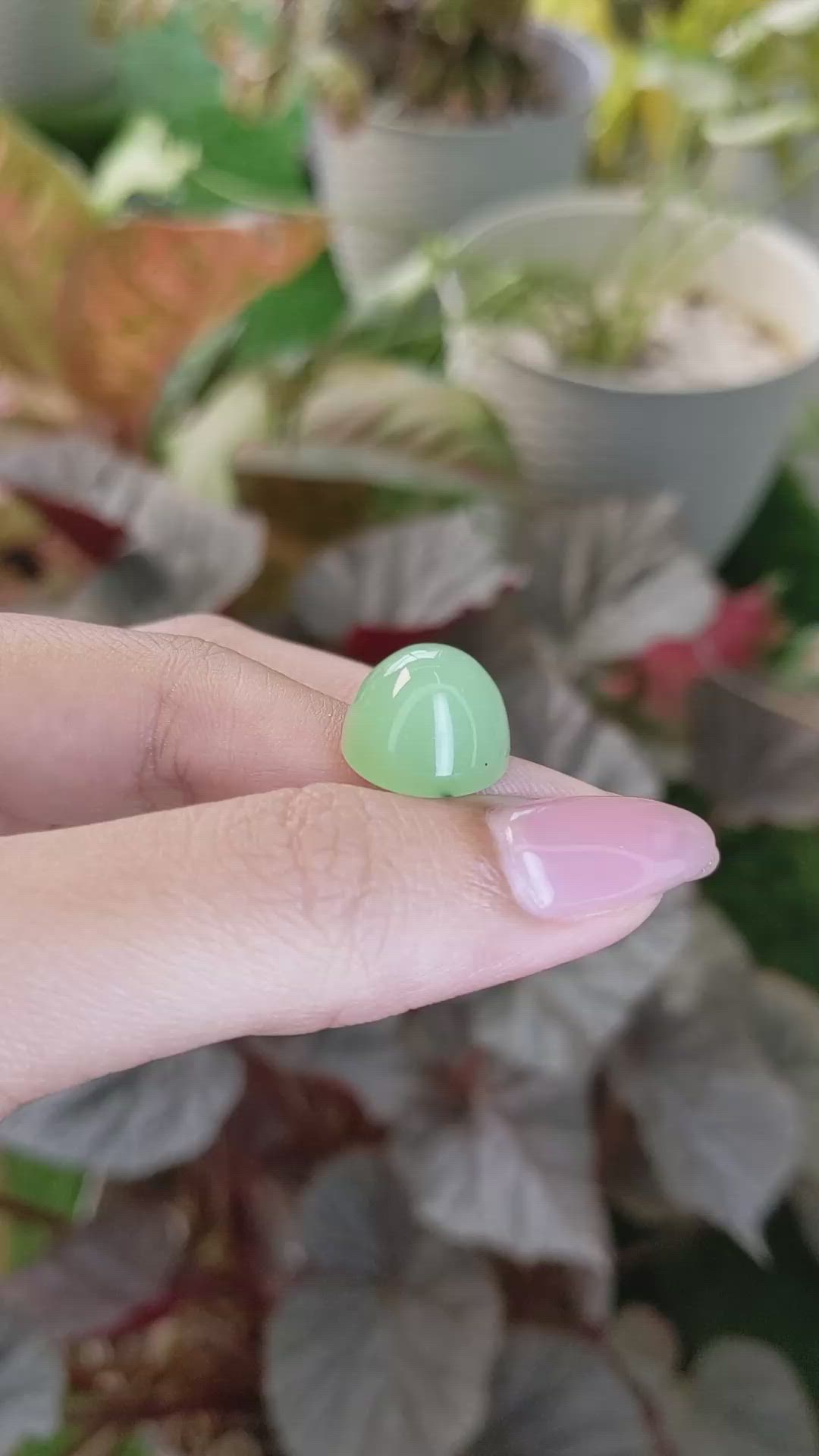 15.20 Ct. Green Cabochon Jade from Burma (Myanmar) Size Video