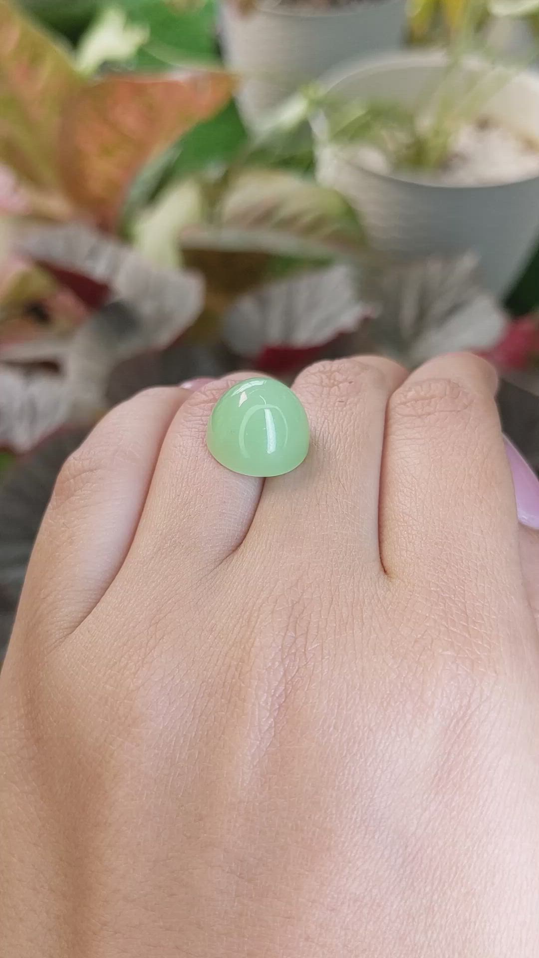 15.20 Ct. Green Cabochon Jade from Burma (Myanmar) Size Video