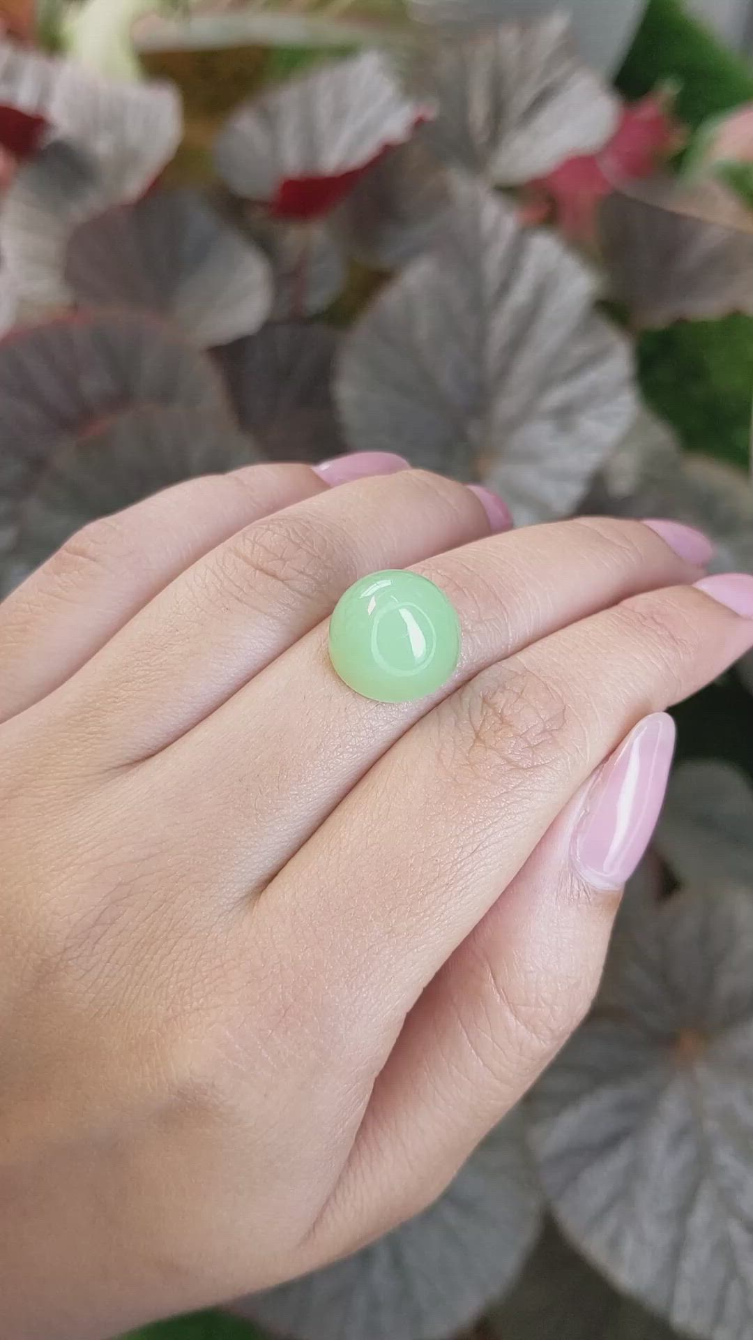 15.20 Ct. Green Cabochon Jade from Burma (Myanmar) Size Video