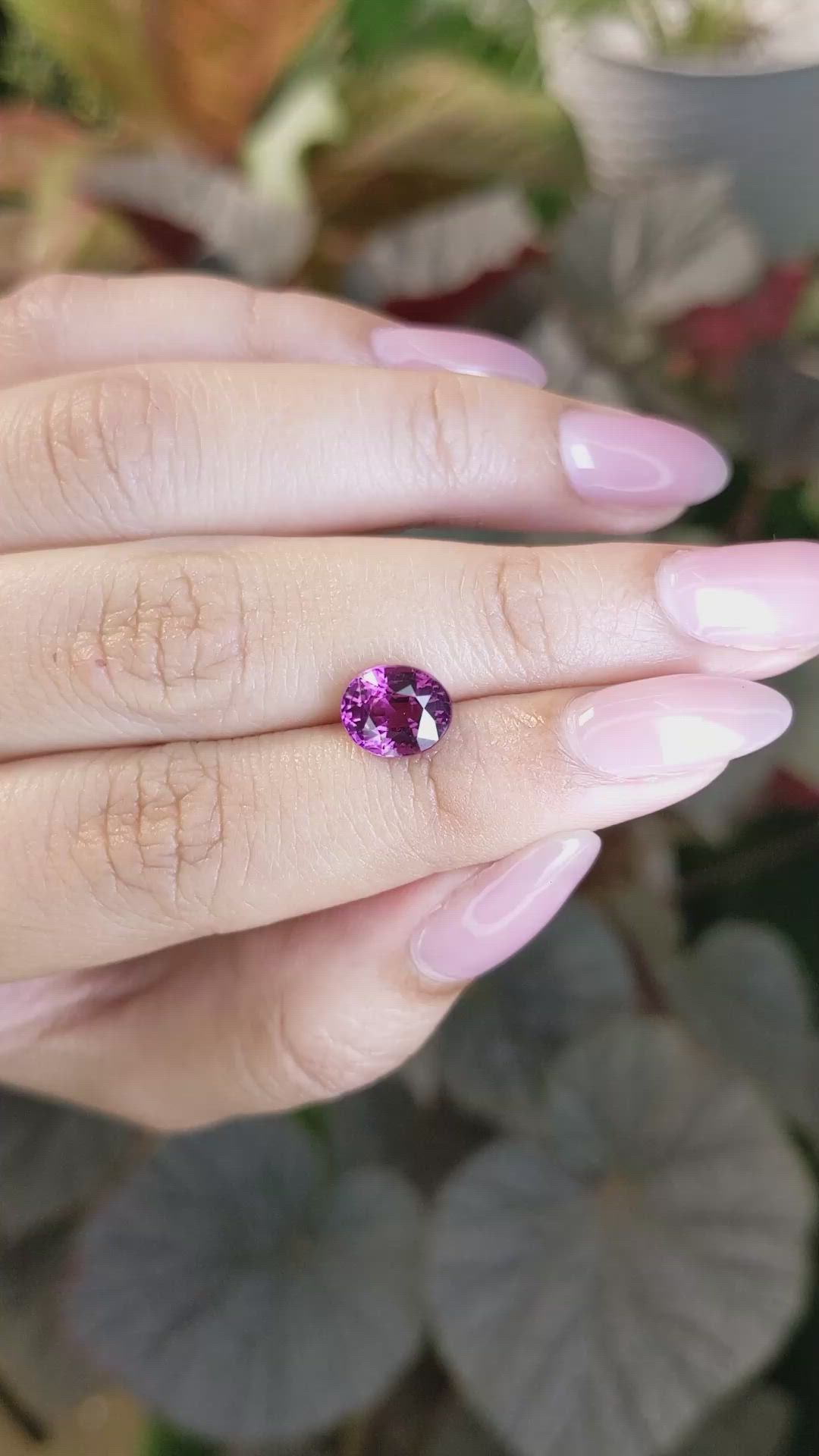 2.70 Ct. Pinkish Purple Rhodolite Garnet from Ceylon (Sri Lanka) Size Video