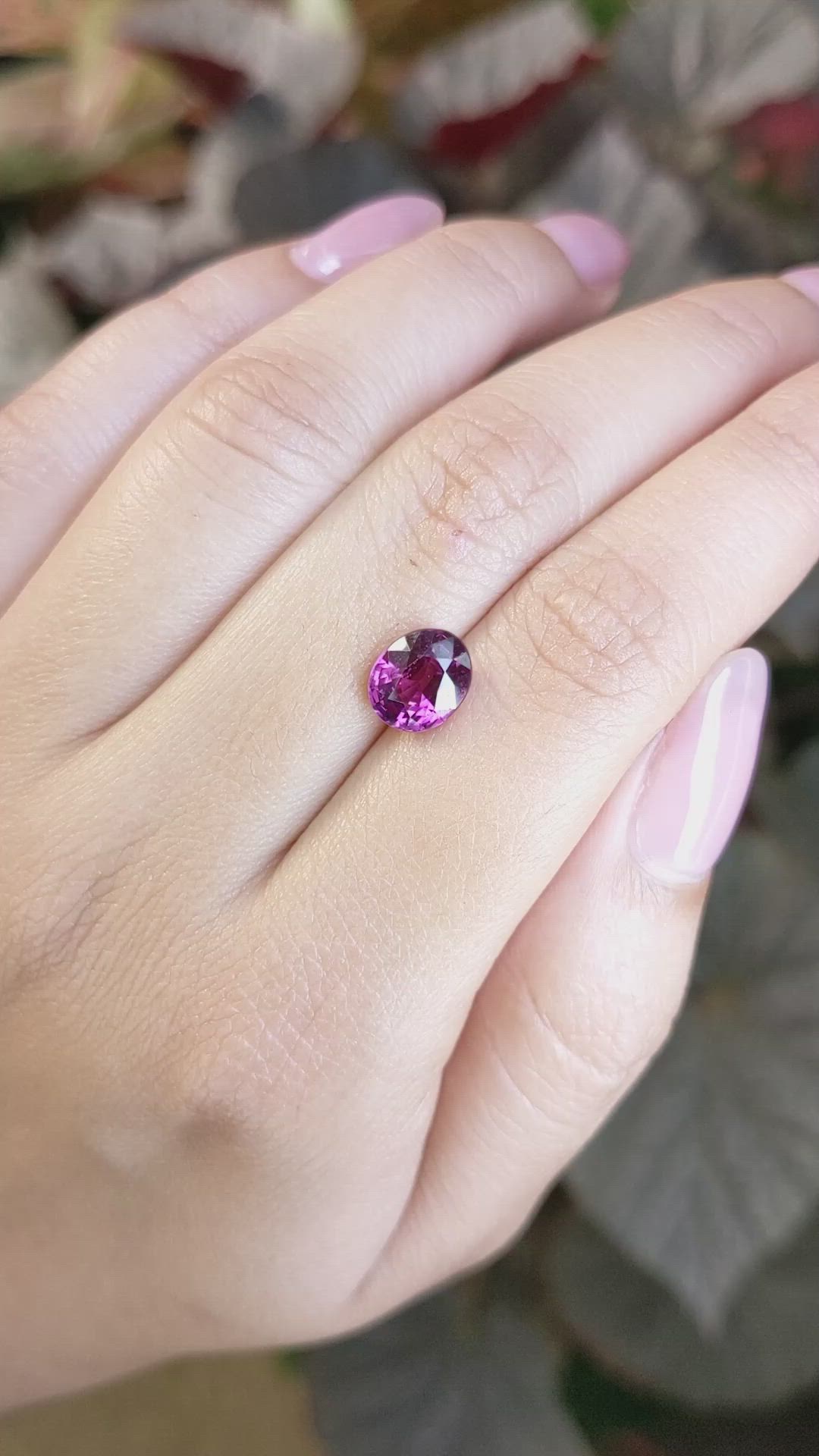 2.70 Ct. Pinkish Purple Rhodolite Garnet from Ceylon (Sri Lanka) Size Video