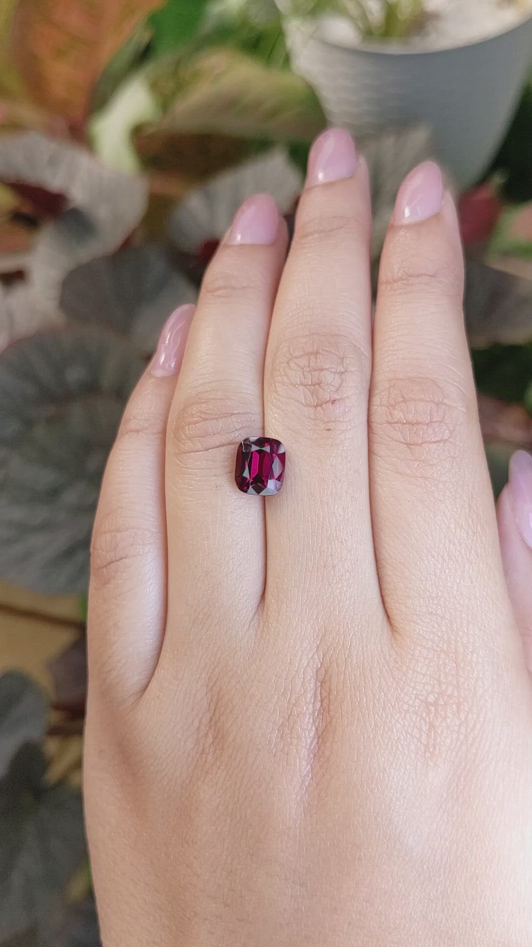 3.06 Ct. Purplish Red Rhodolite Garnet from Ceylon (Sri Lanka) Size Video