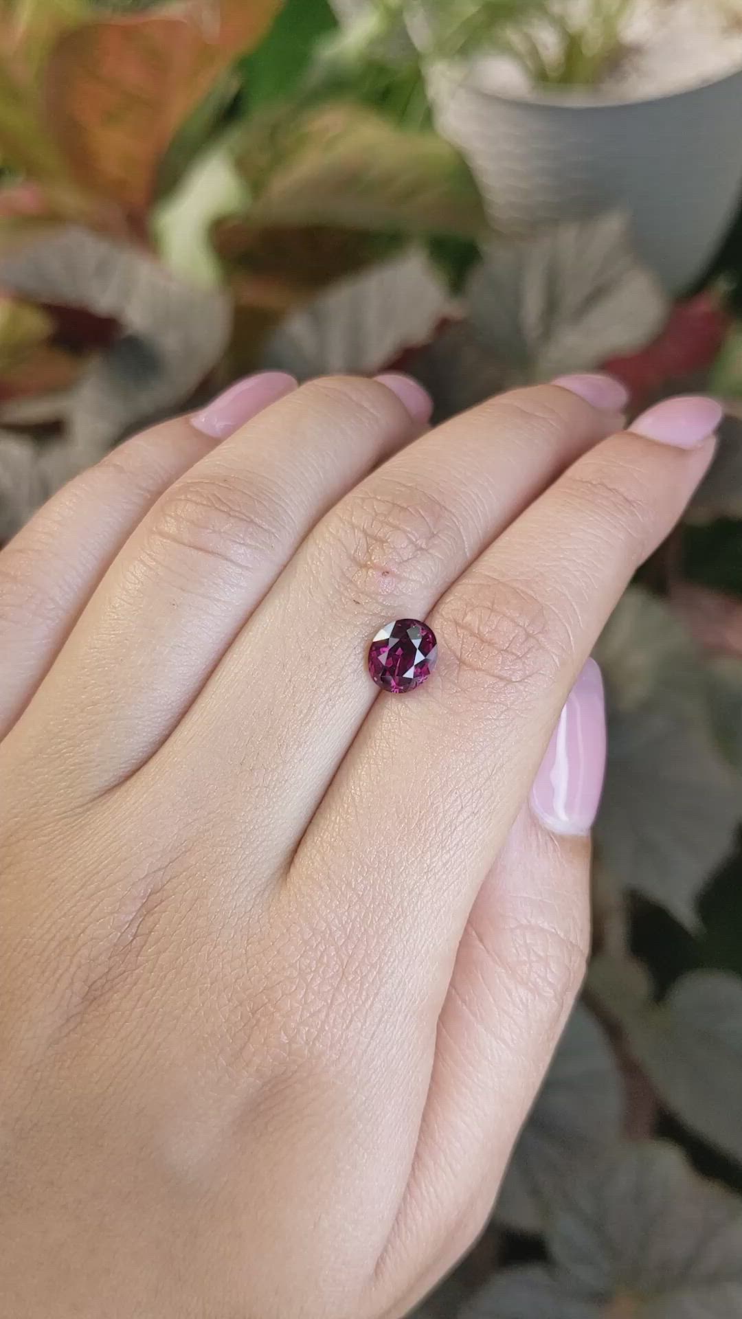 2.10 Ct. Reddish Purple Rhodolite Garnet from Ceylon (Sri Lanka) Size Video