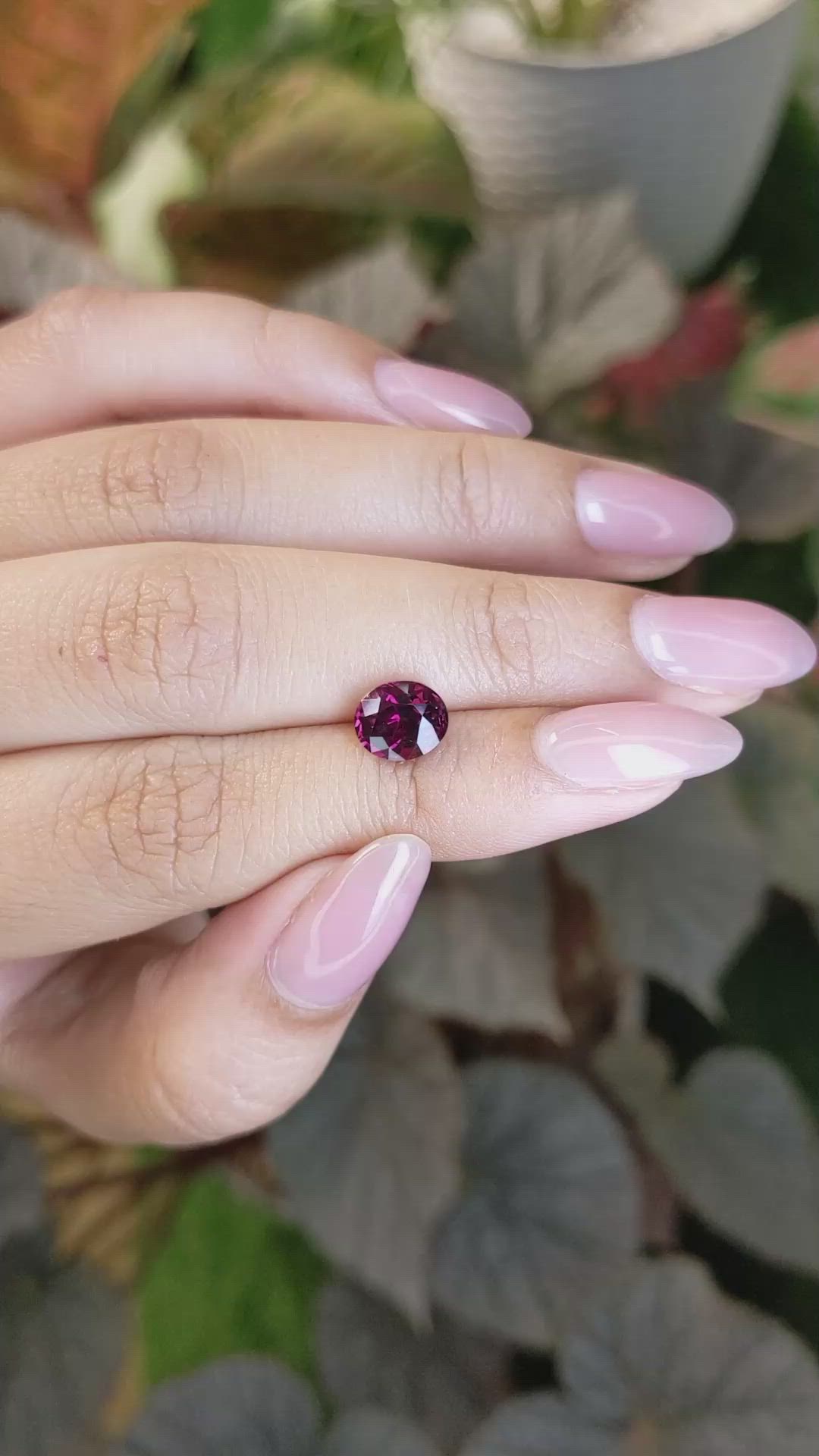 2.10 Ct. Reddish Purple Rhodolite Garnet from Ceylon (Sri Lanka) Size Video