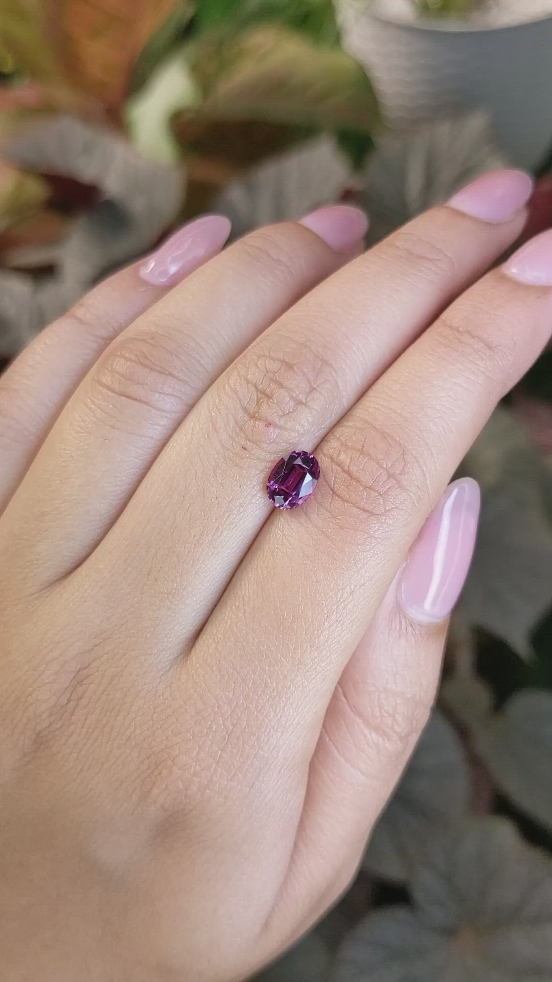 1.71 Ct. Purplish Pink Rhodolite Garnet from Ceylon (Sri Lanka) Size Video